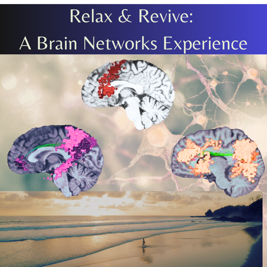 R&R_ABrainNETExperience.png