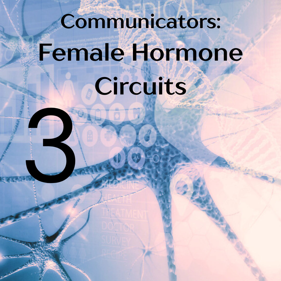 FemaleHormone.png