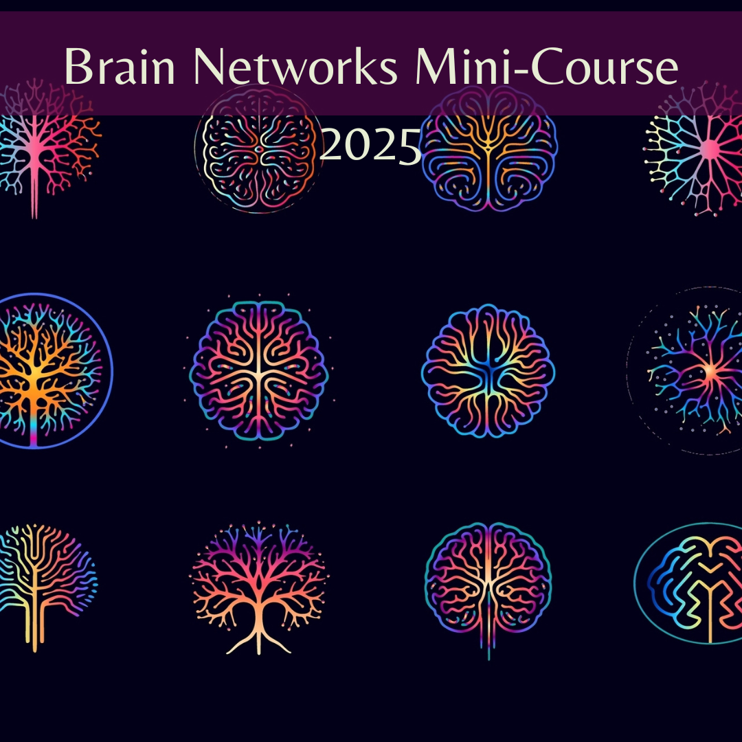 BrainNetMini2025.png