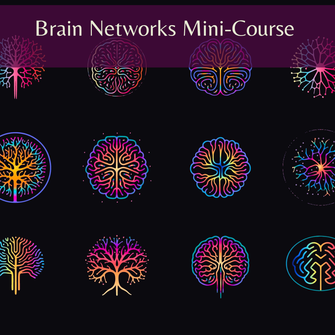 BrainNETmini.png