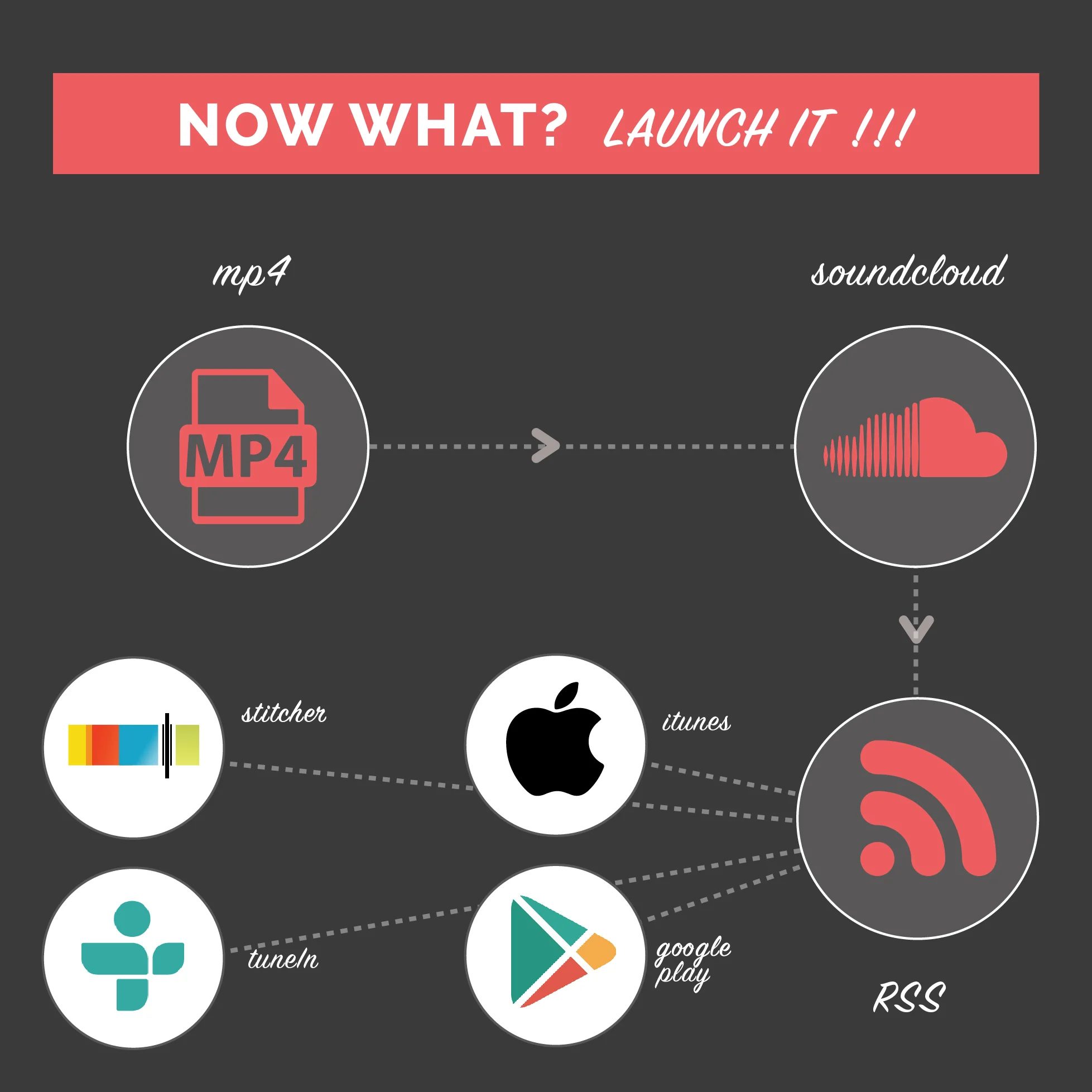 SVSE-INFOGRAPHIC-06.jpg