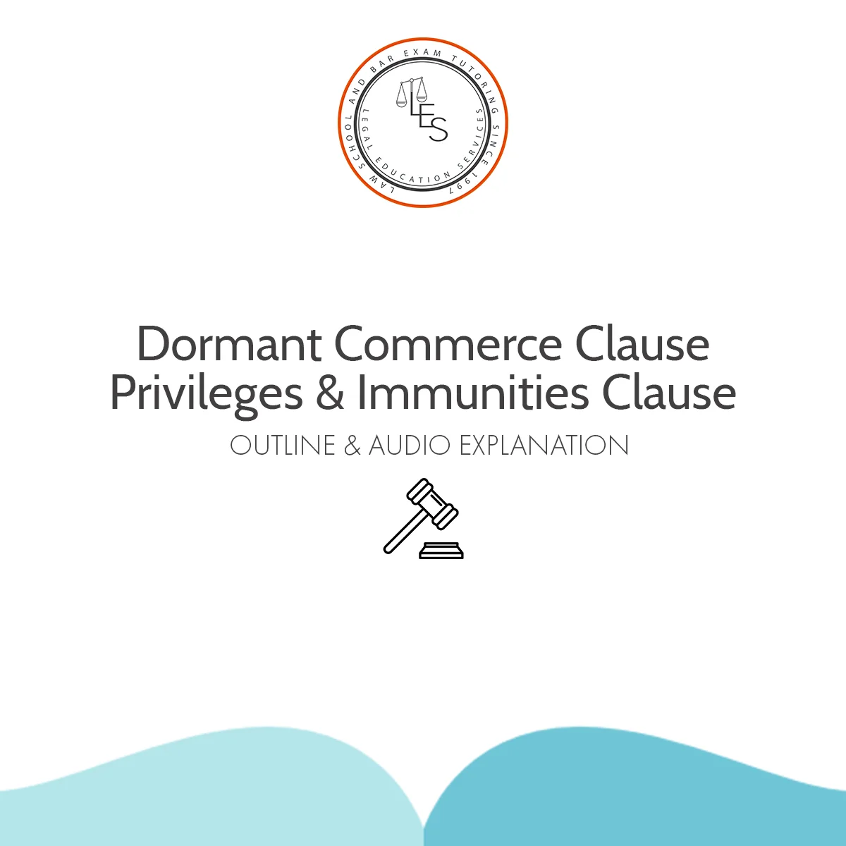 Dormant Commerce Clause | Privileges & Immunities