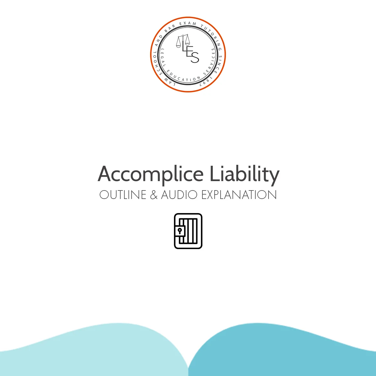 Accomplice Liability