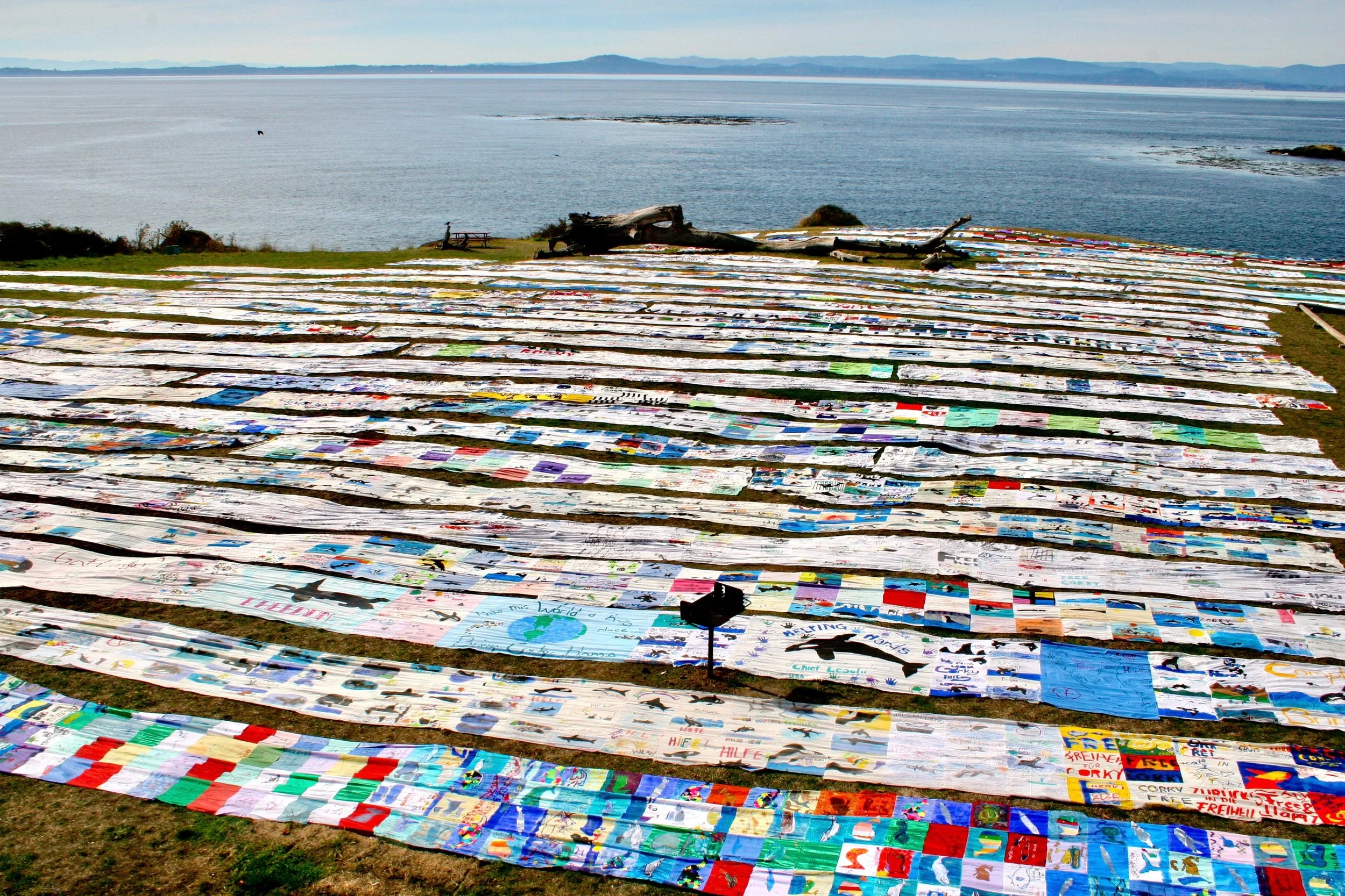 The entire Corky Freedom Banner laid out at San Juan County Park, San Juan Island, Washington State.
