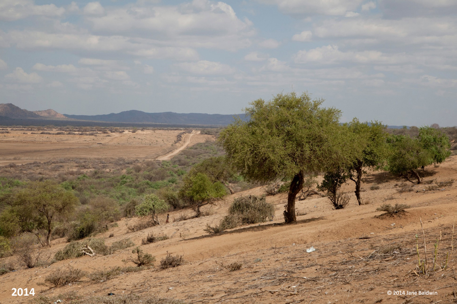 Korcho Village, Omo River Valley, Ethiopia · 2014 © photographs by Jane Baldwin