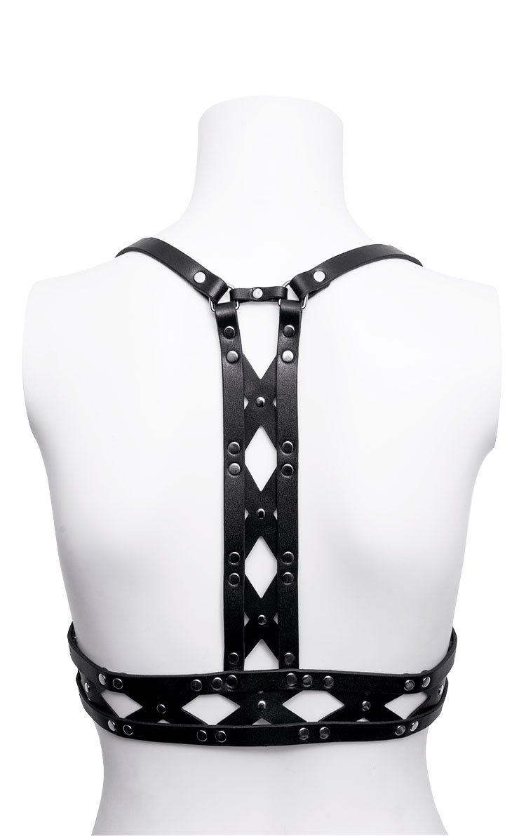 XXX Harness Back.jpg