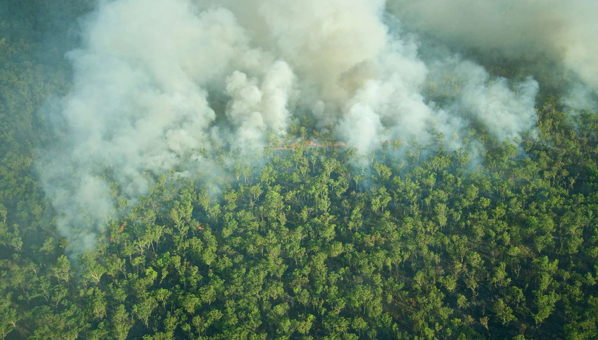 bigstock-Aerial-View-Of-A-Bushfire-In-K-92950595web.jpg