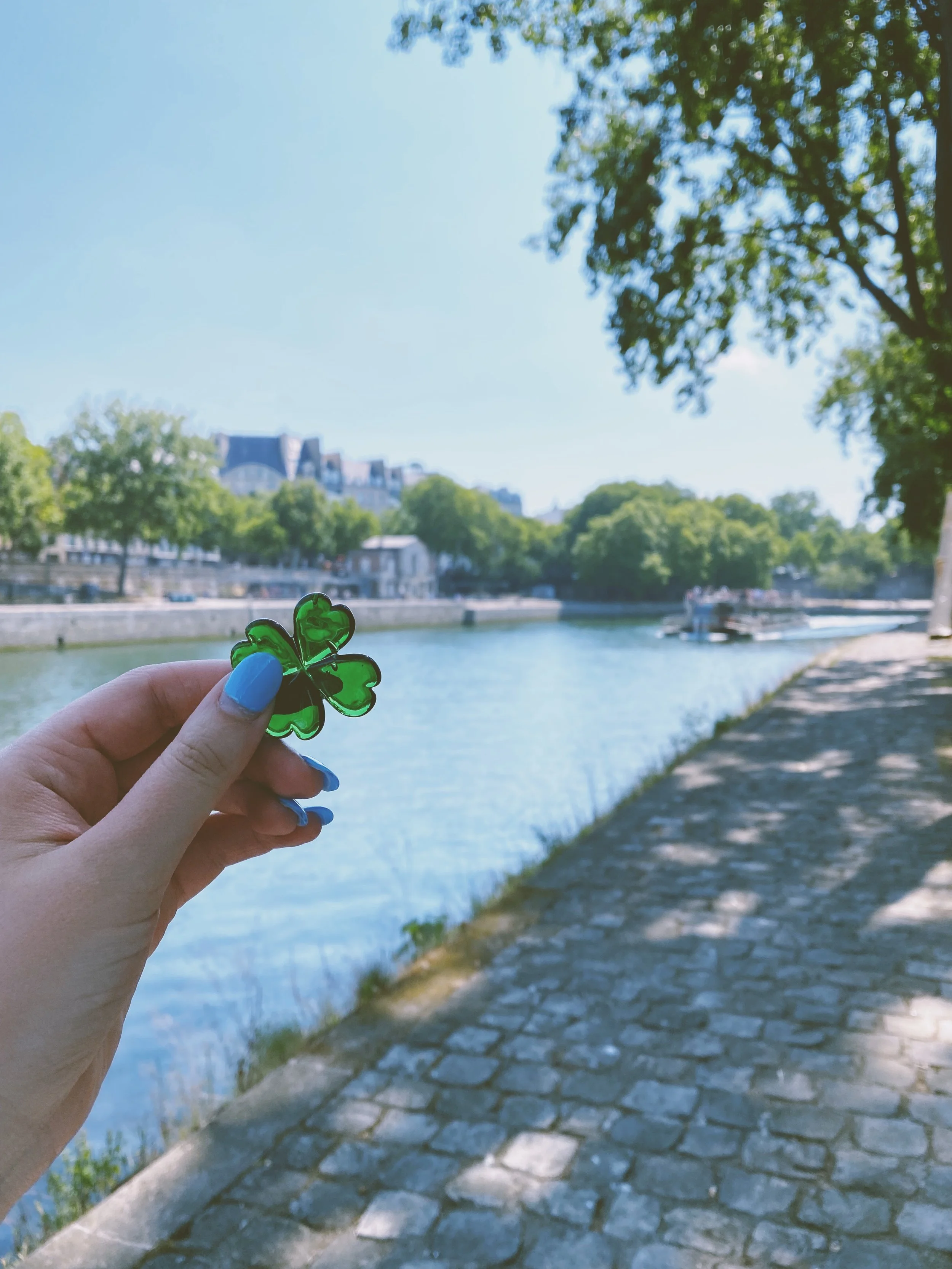 You will not believe the day I've had