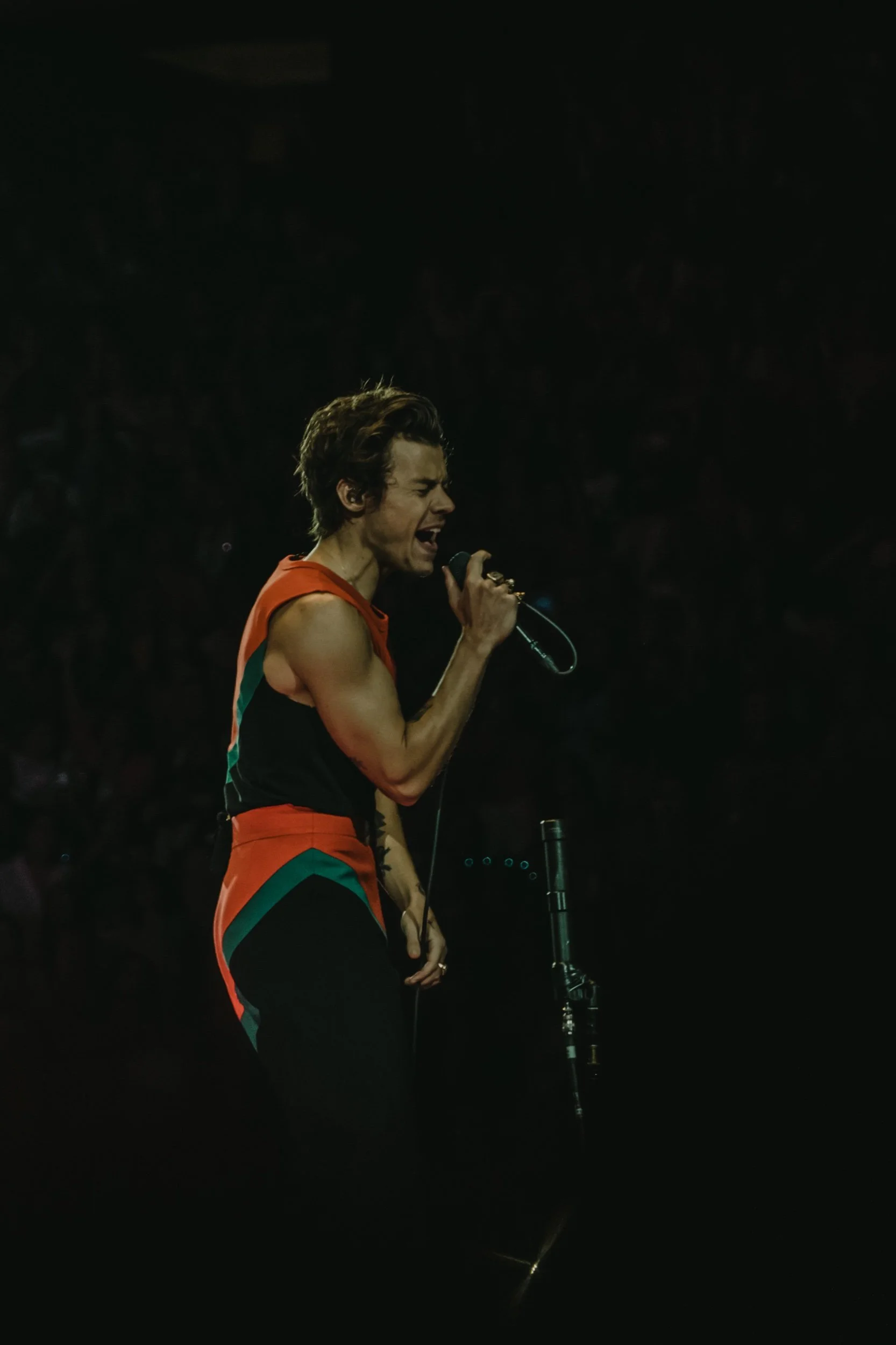 Photosxbyem_HarryMSG-6.jpeg