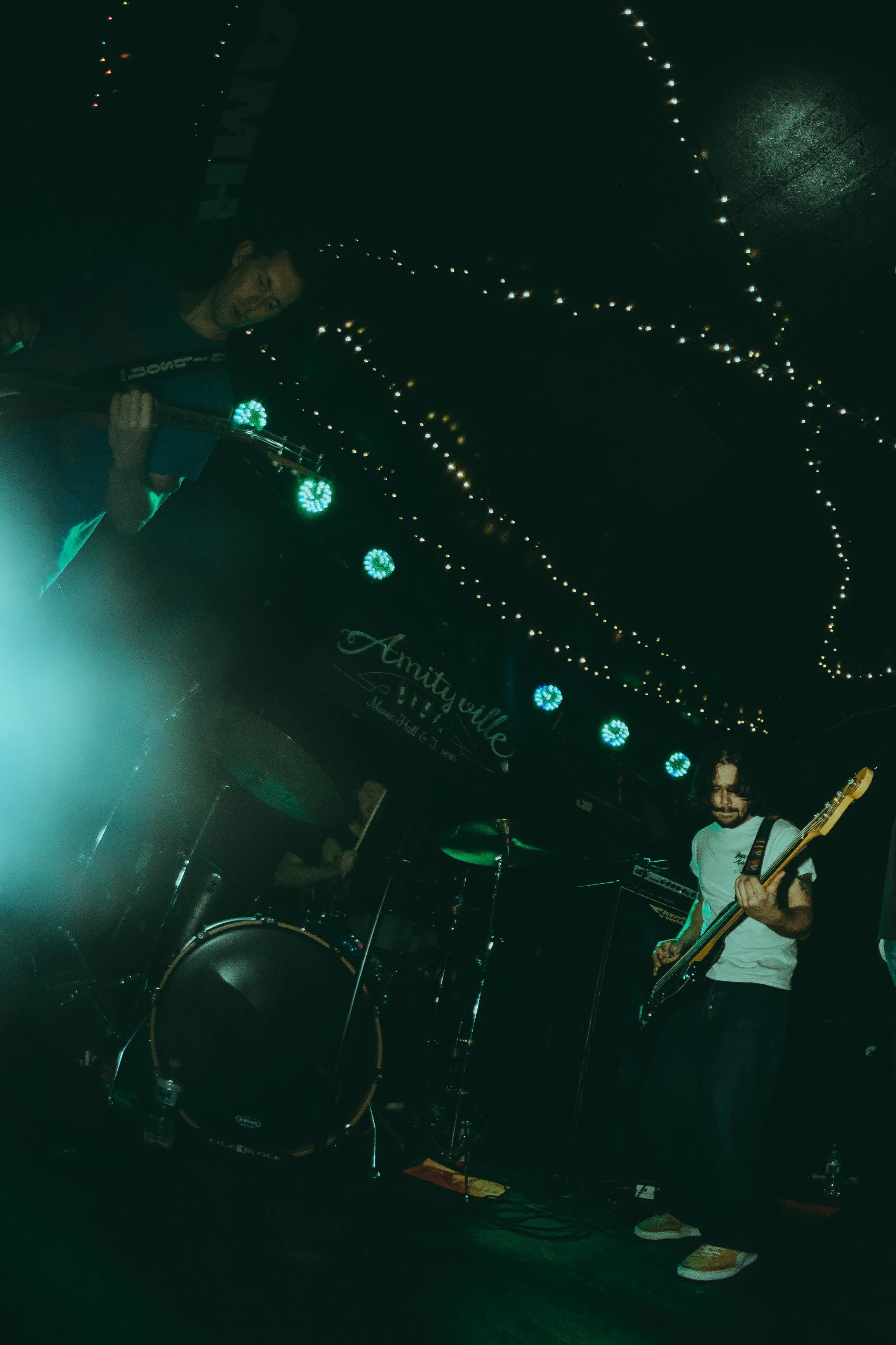 PhotosxByEm_FiddleHead-11.jpg