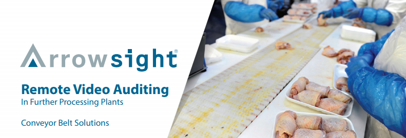 Conveyor Belt Solutions