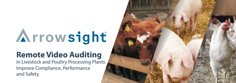 Remote Video Auditing in Livestock and Poultry Processing Plants Improve Compliance, Performance and Safety