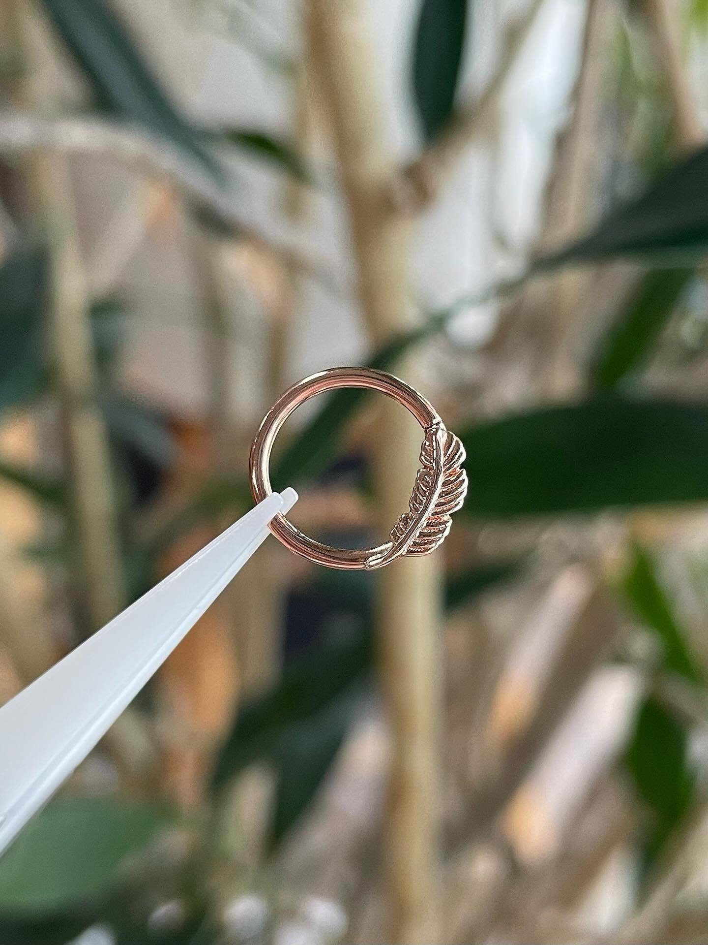 These solid gold rings from @bvla are perfect for daith or septum piercings - we&rsquo;re ready when you are! ✨