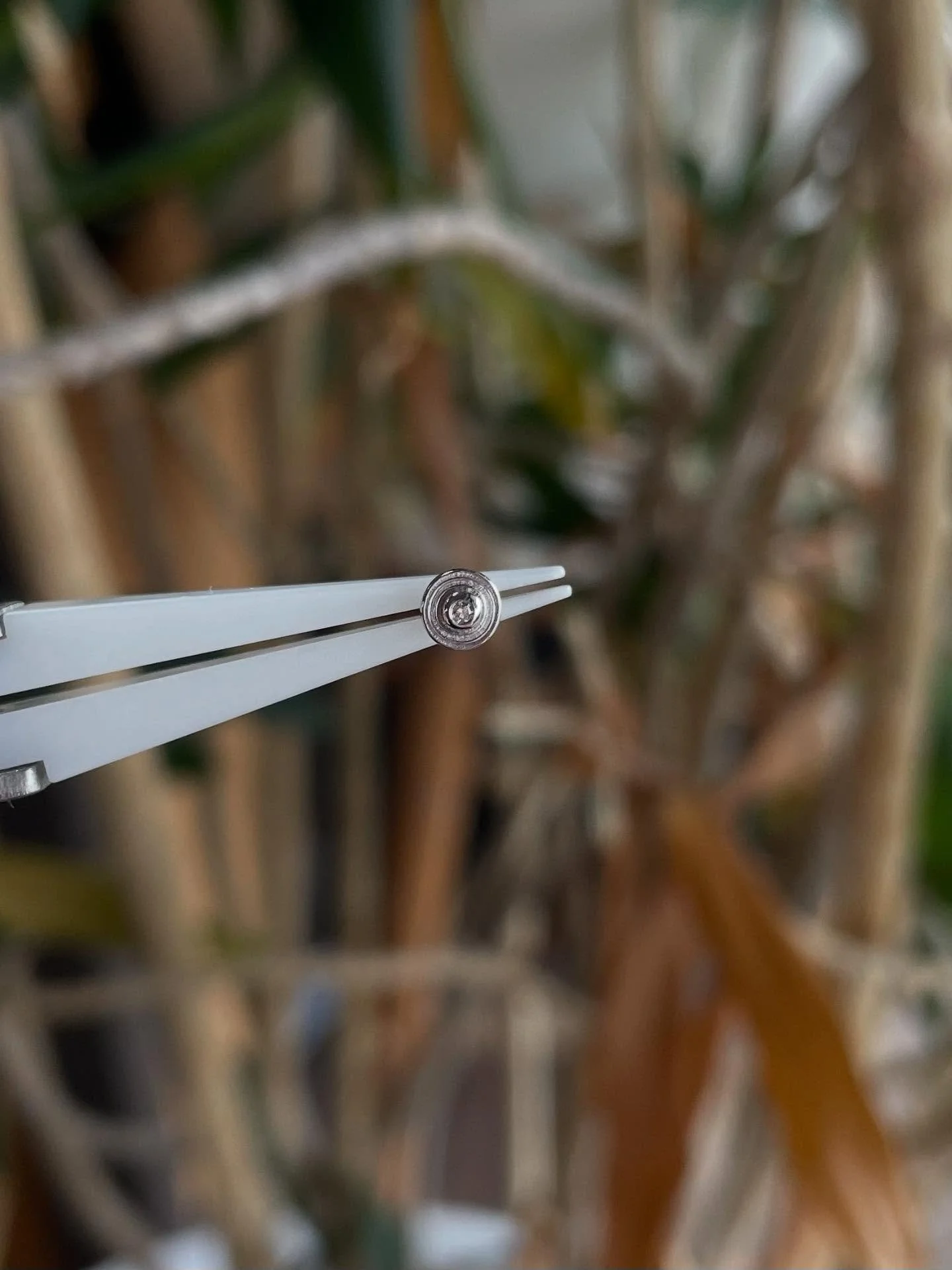 Some lovely new ends from @emberbodyjewelry just arrived - which one is your favorite ? ✨