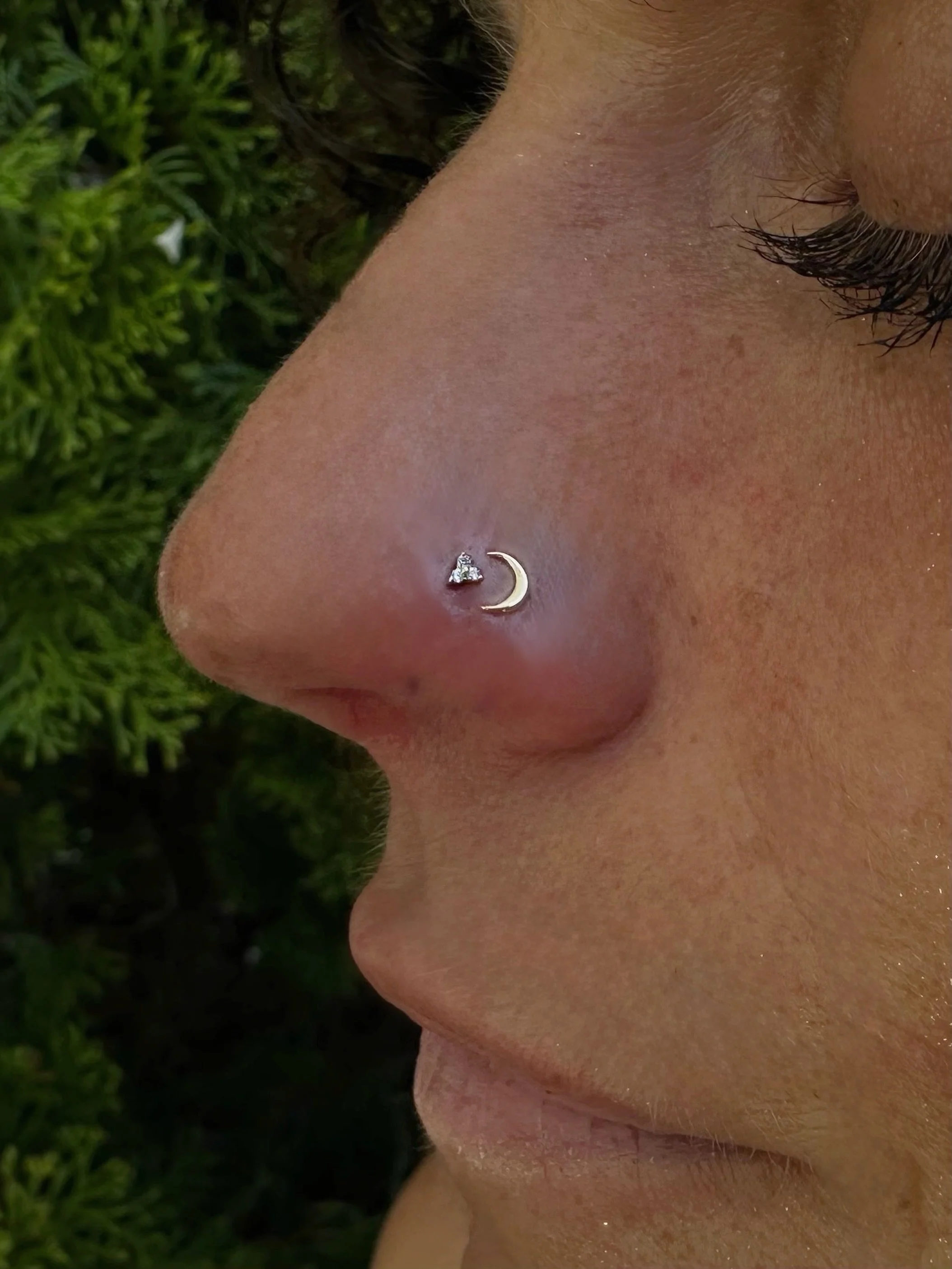 A sweet little double nostril piercing from @henrys_piercings ✨ using jewelry from @emberbodyjewelry + @anatometalinc ✨