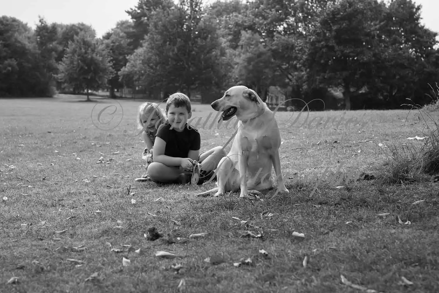 131   PLUA3913_1.JPG