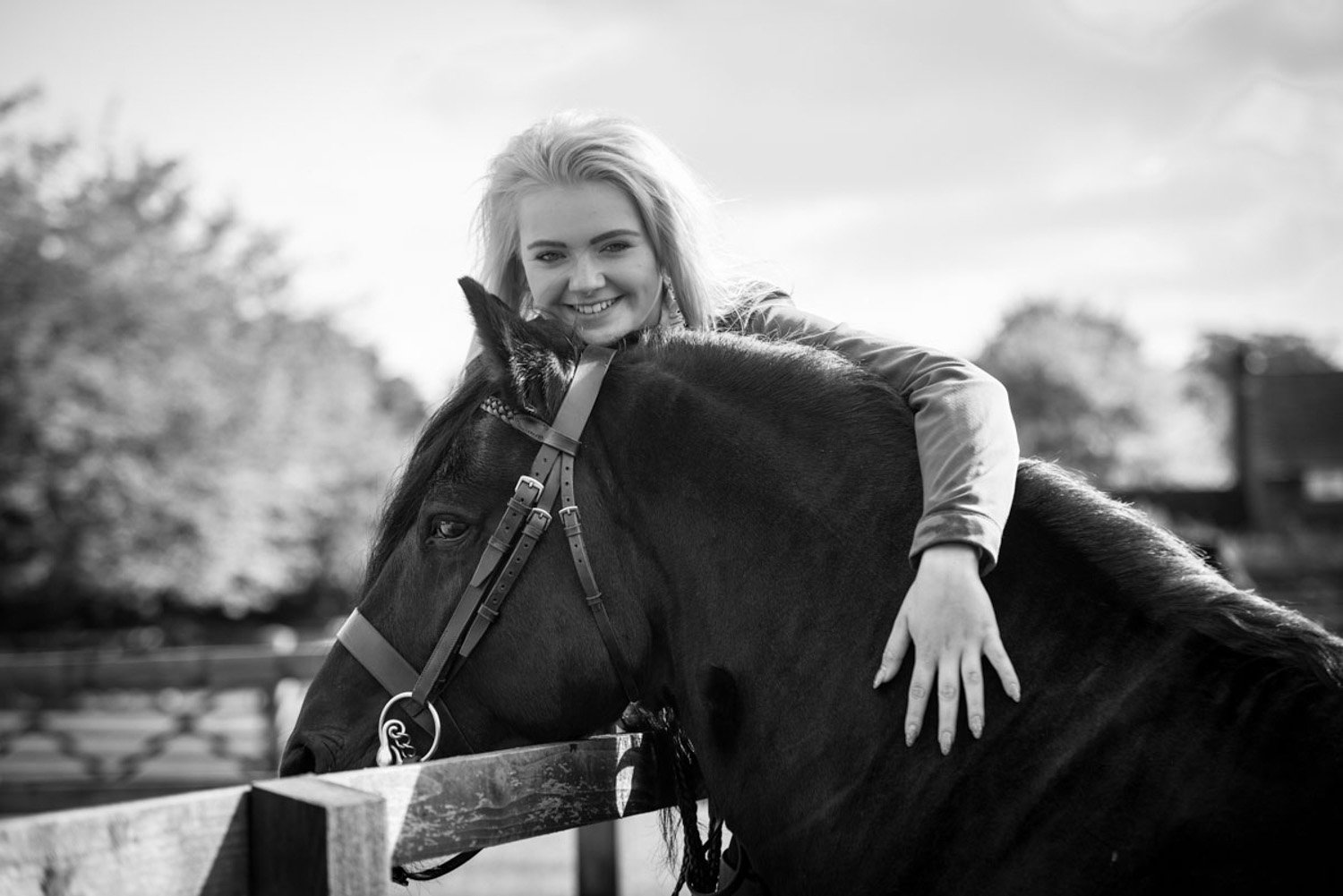 Equine Portrait Photography