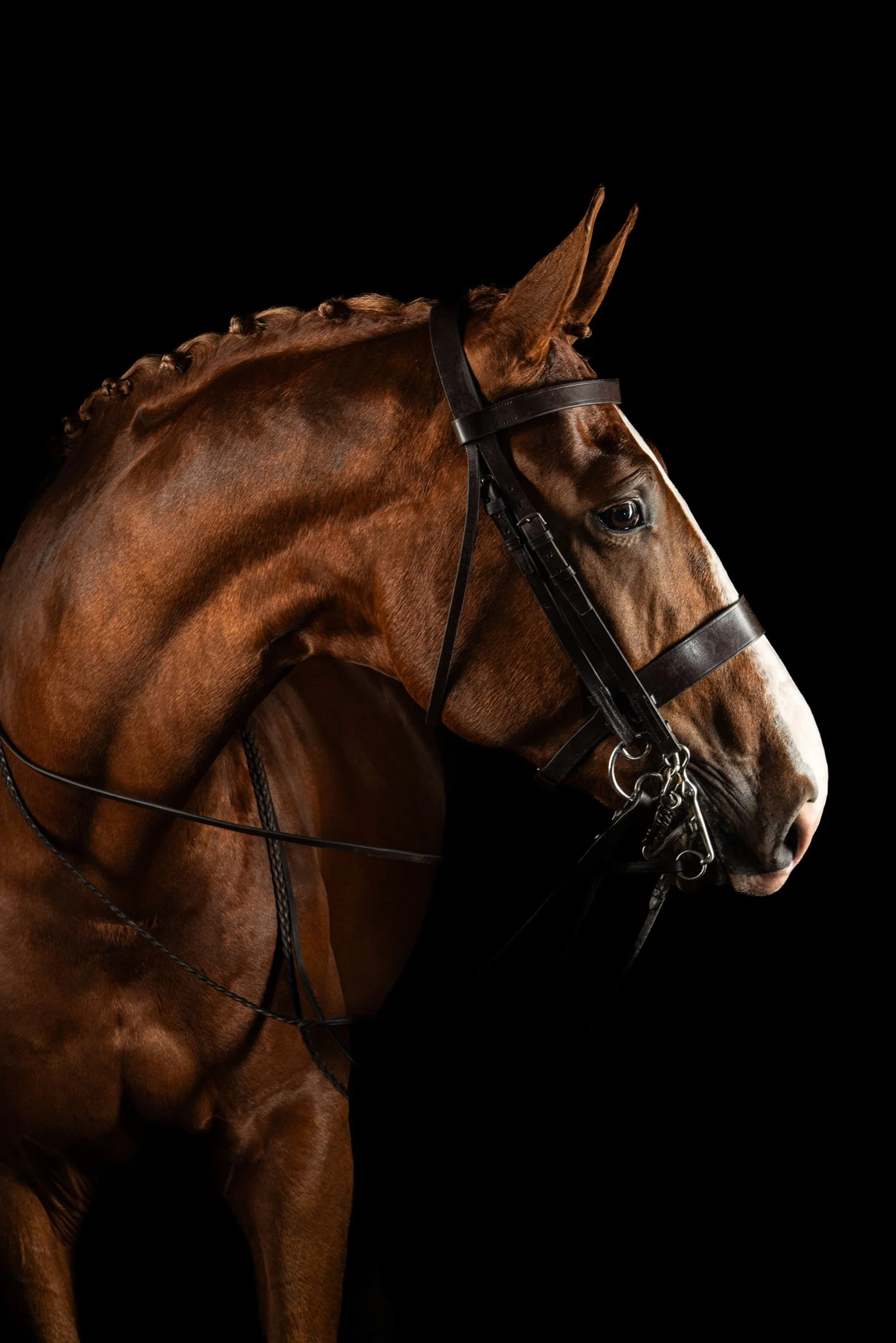 A striking image of Hercules.jpg (Copy)