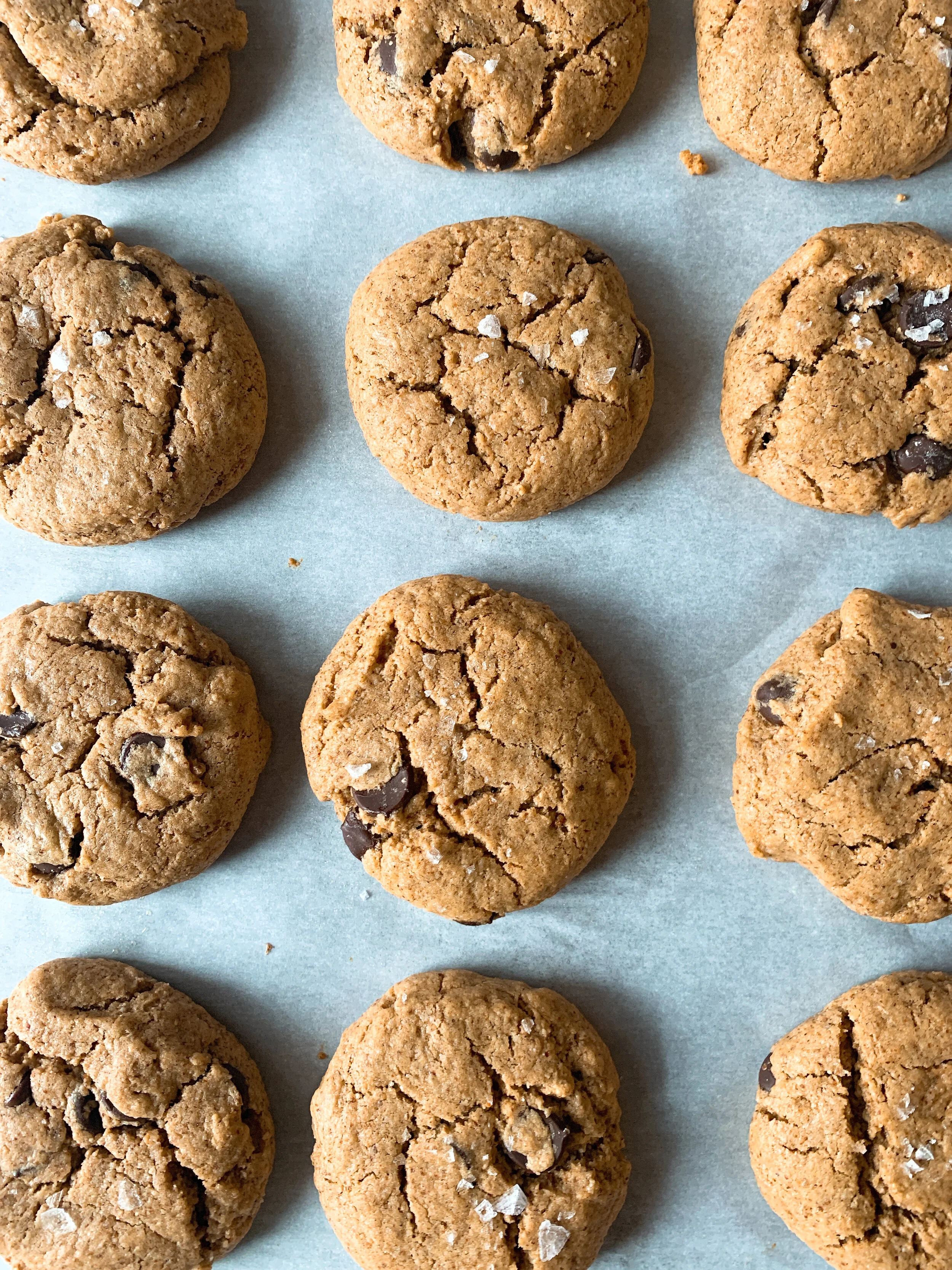 Almond Butter Chocolate Chip Cookies