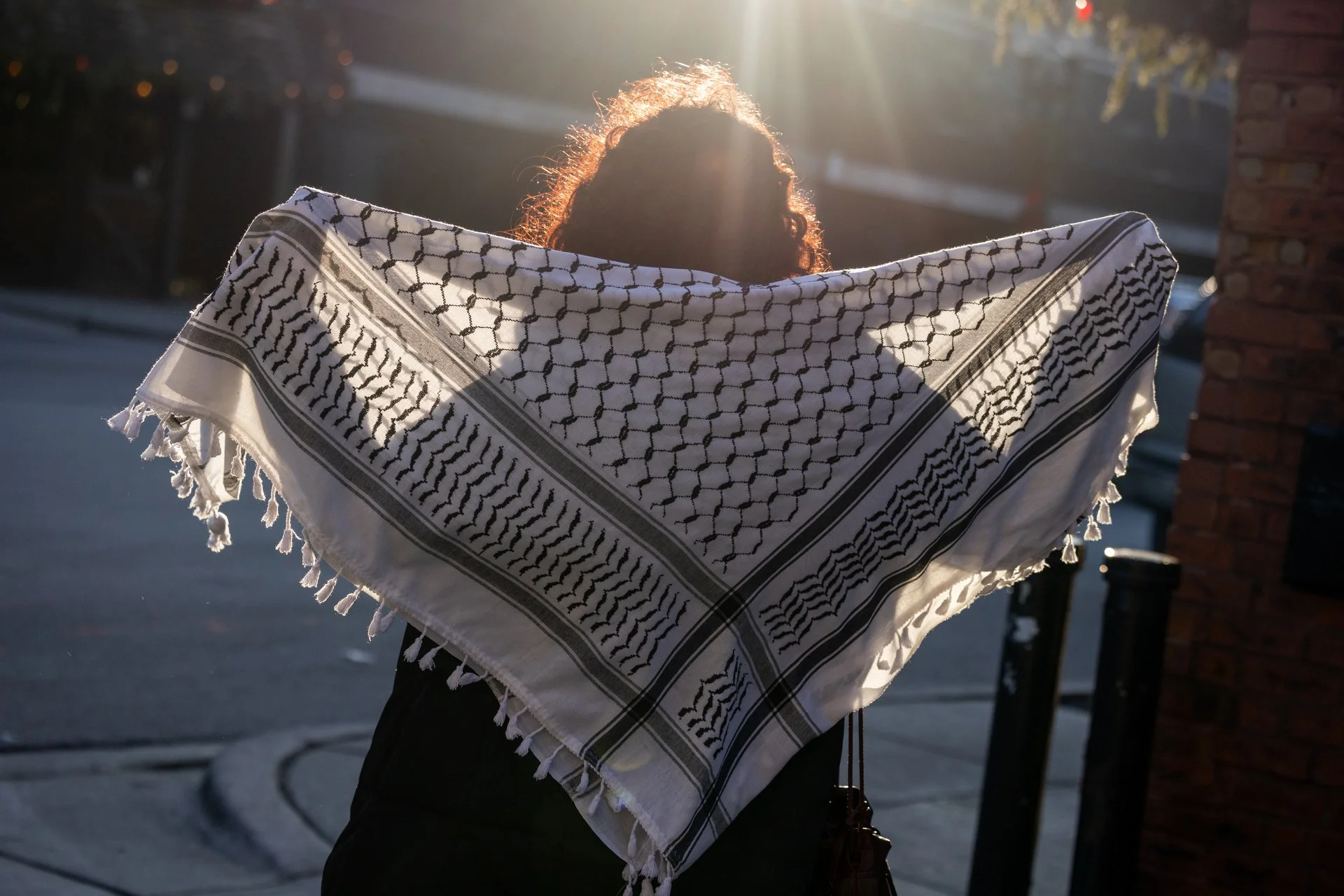 Truthout: Zionist Doxxing Campaigns Upended Their Lives. Now They’re Suing for Damages.