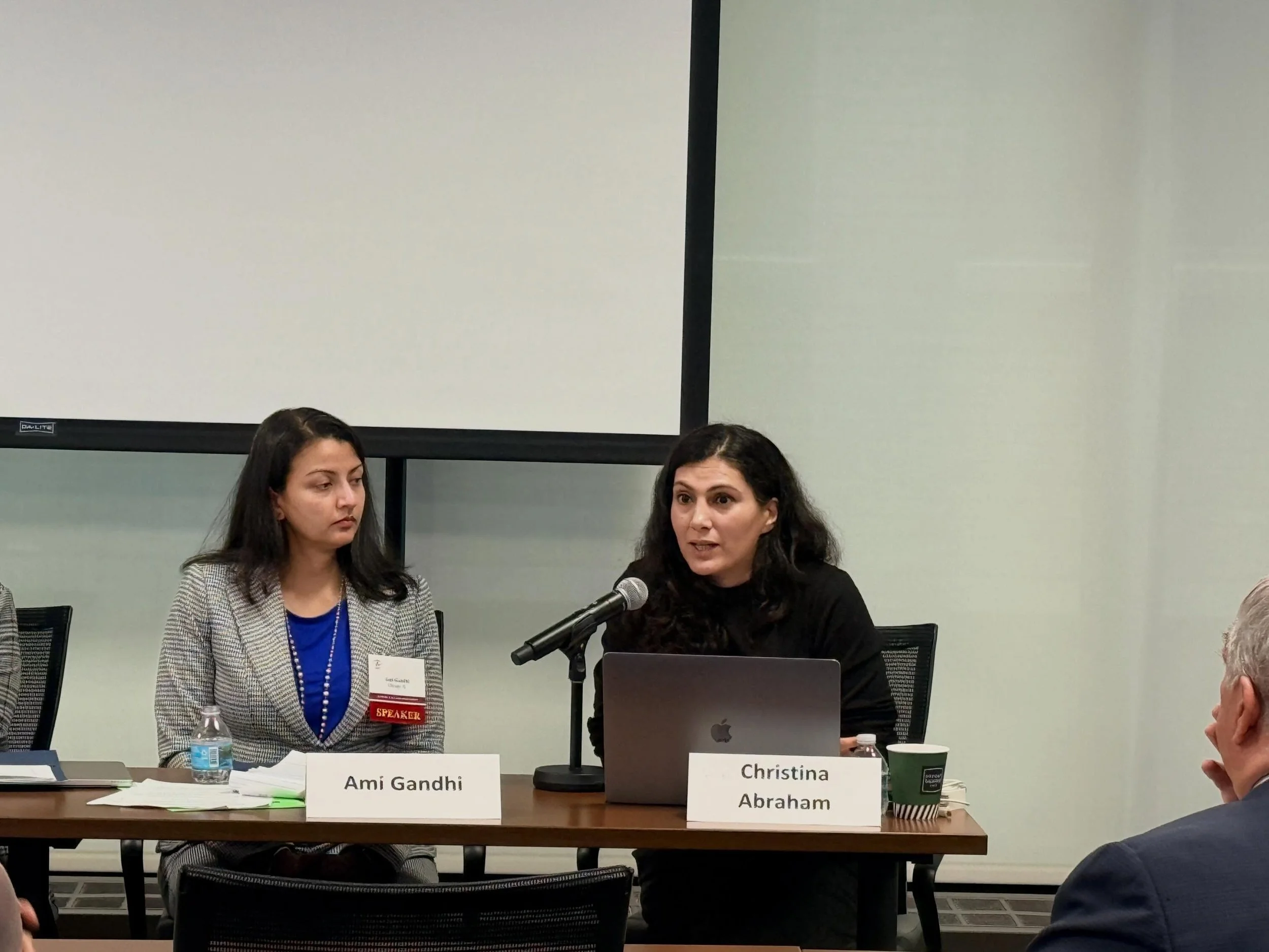 Litigation Clinic Lead, Christina Abraham, Joins ISBA Rule of Law Symposium