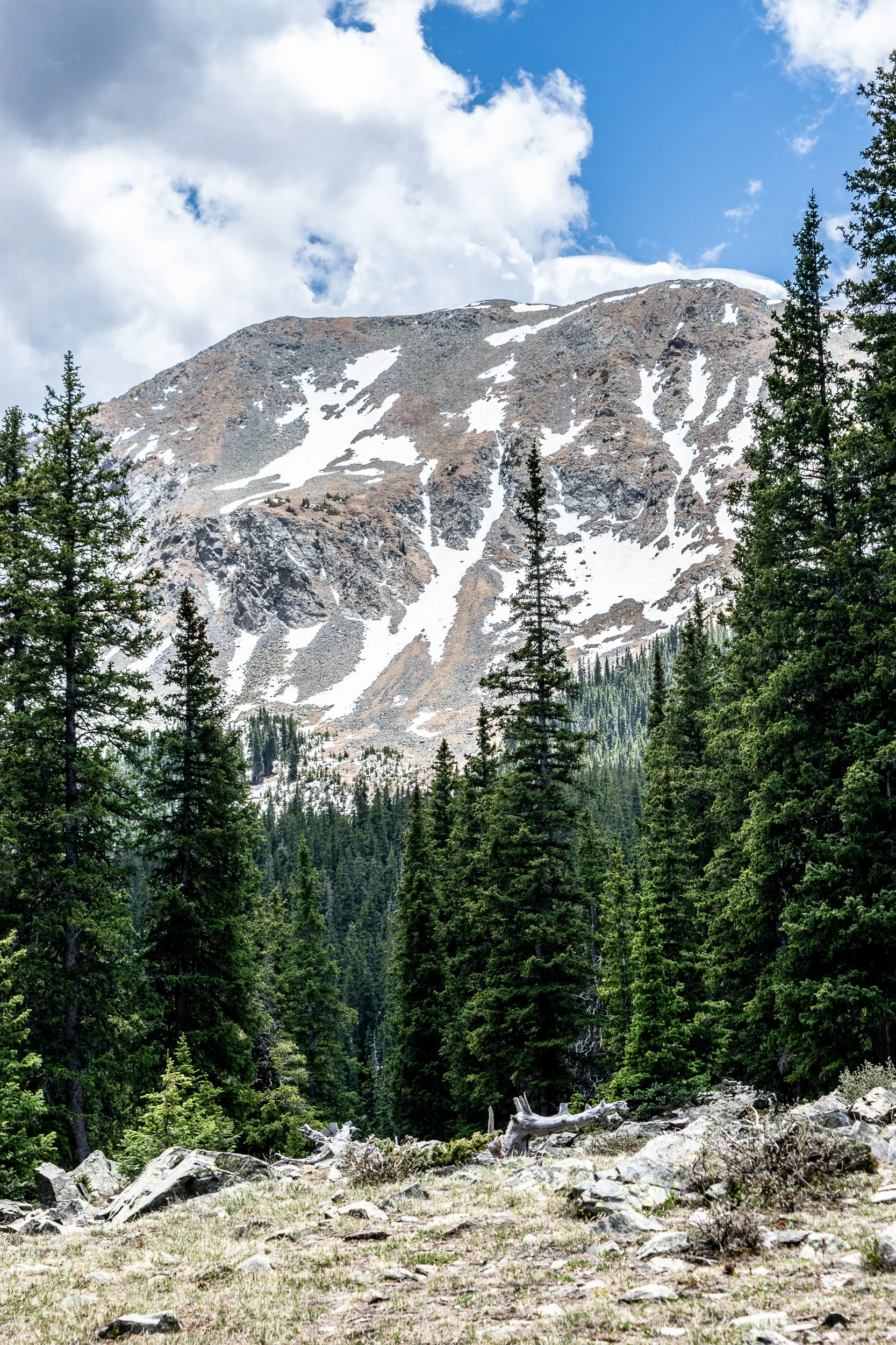 WilliamsLake-0278.jpg