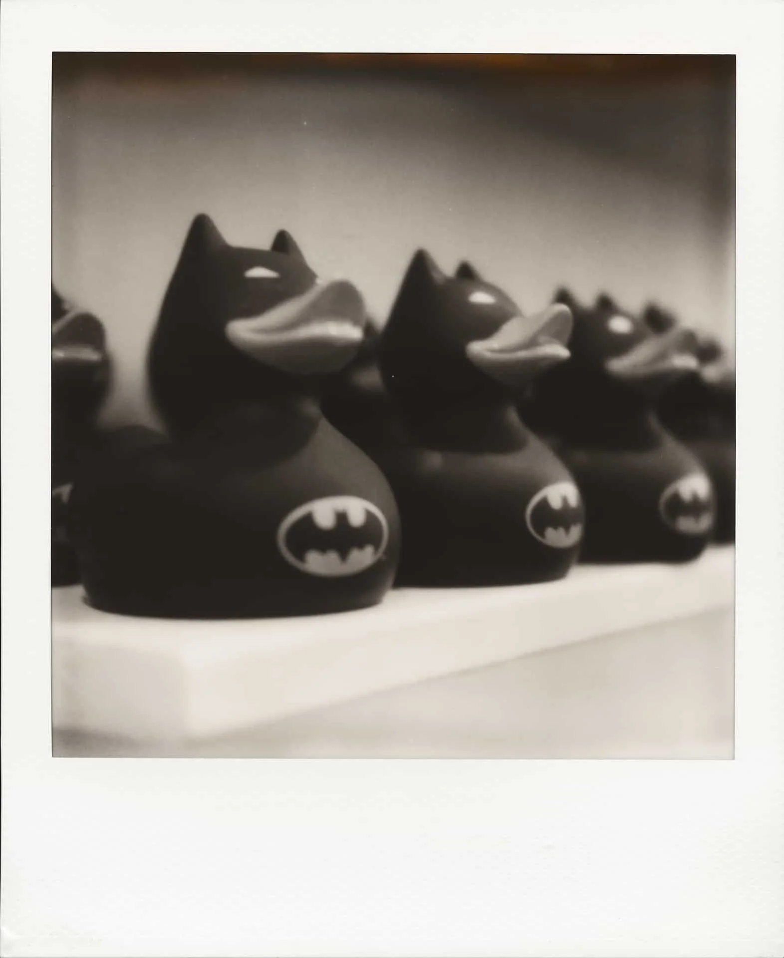 Polaroid_X-170909-0085_1920_WEB.jpg
