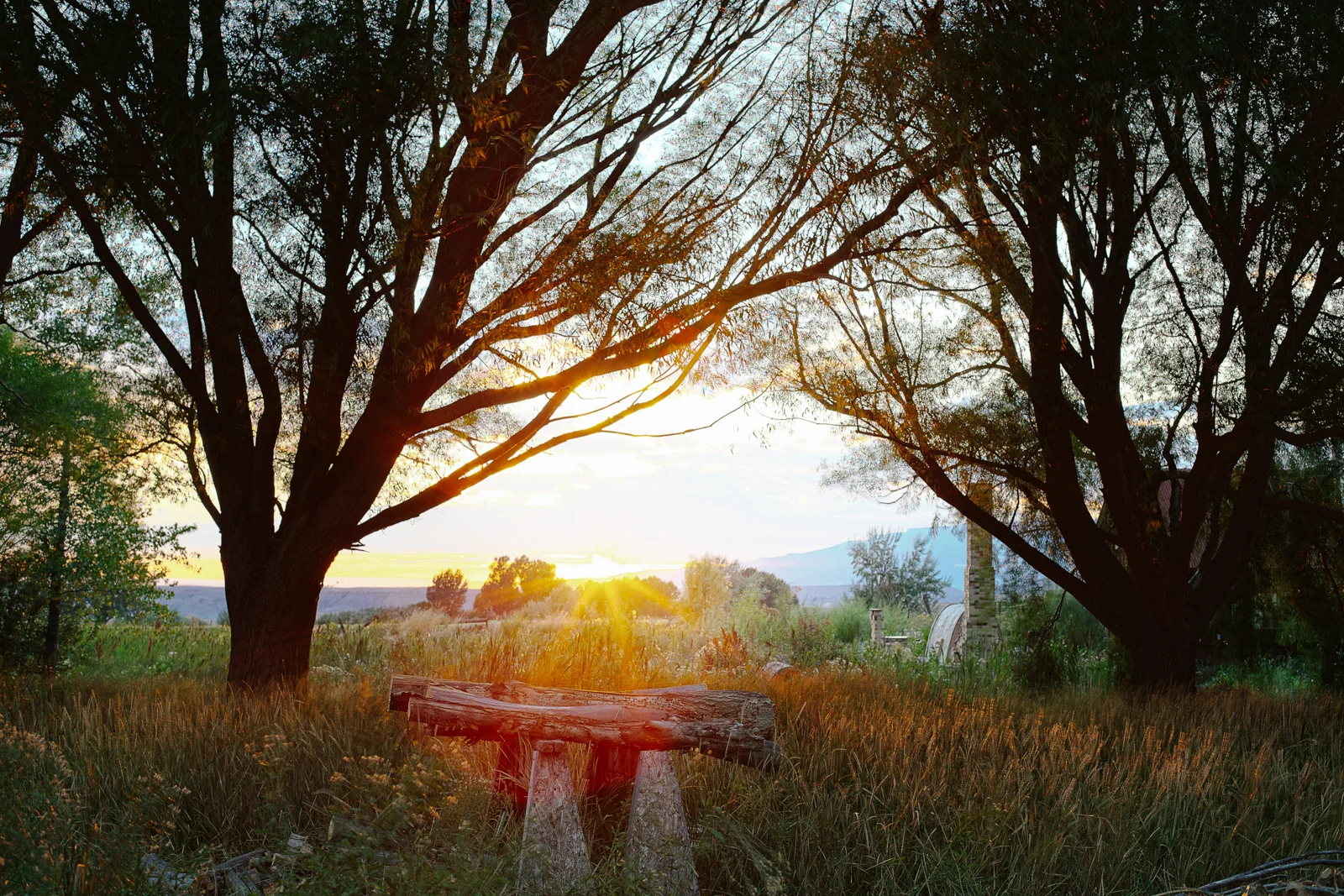 18_Sunset_SawHorses.jpg