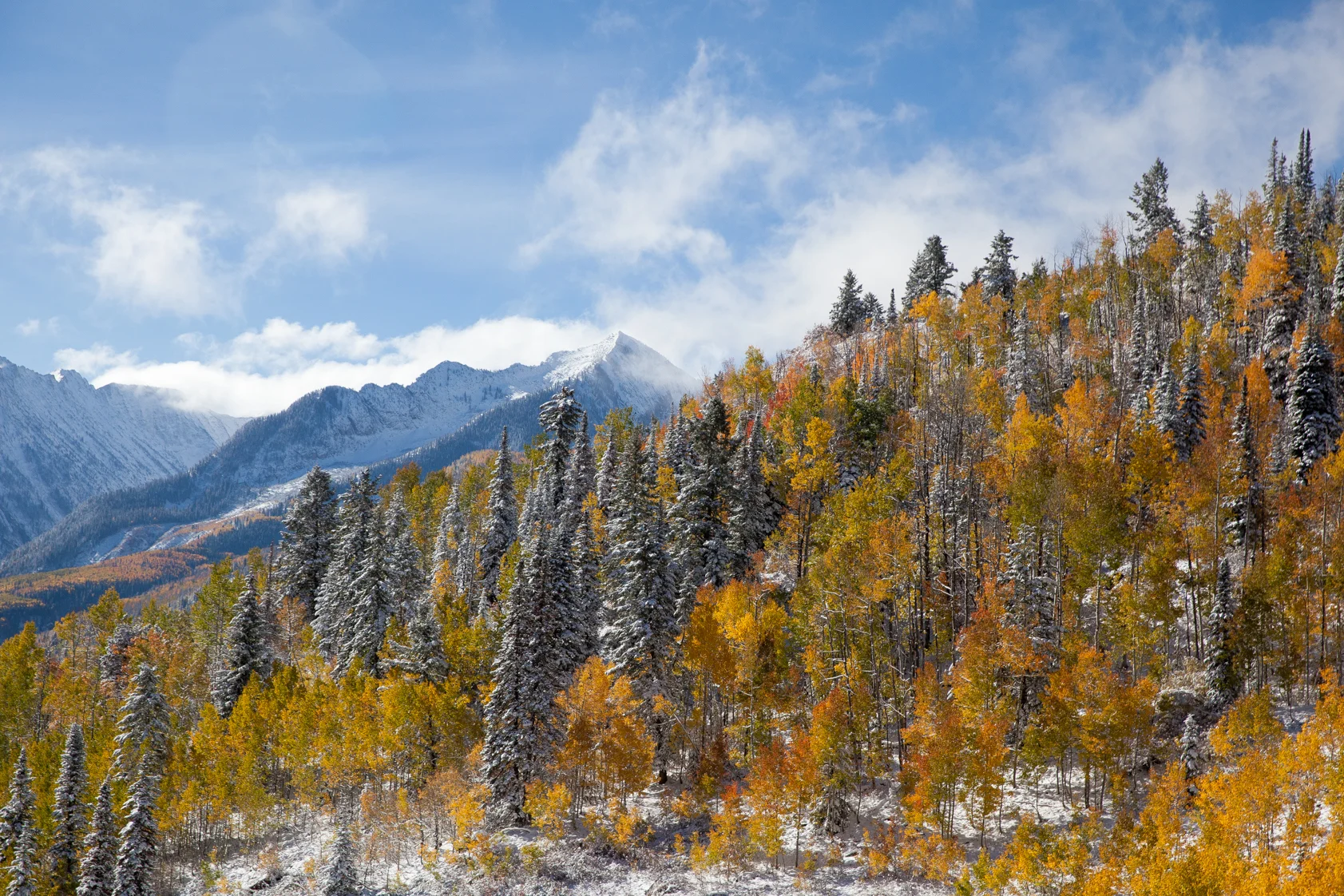 _MG_6806.jpg