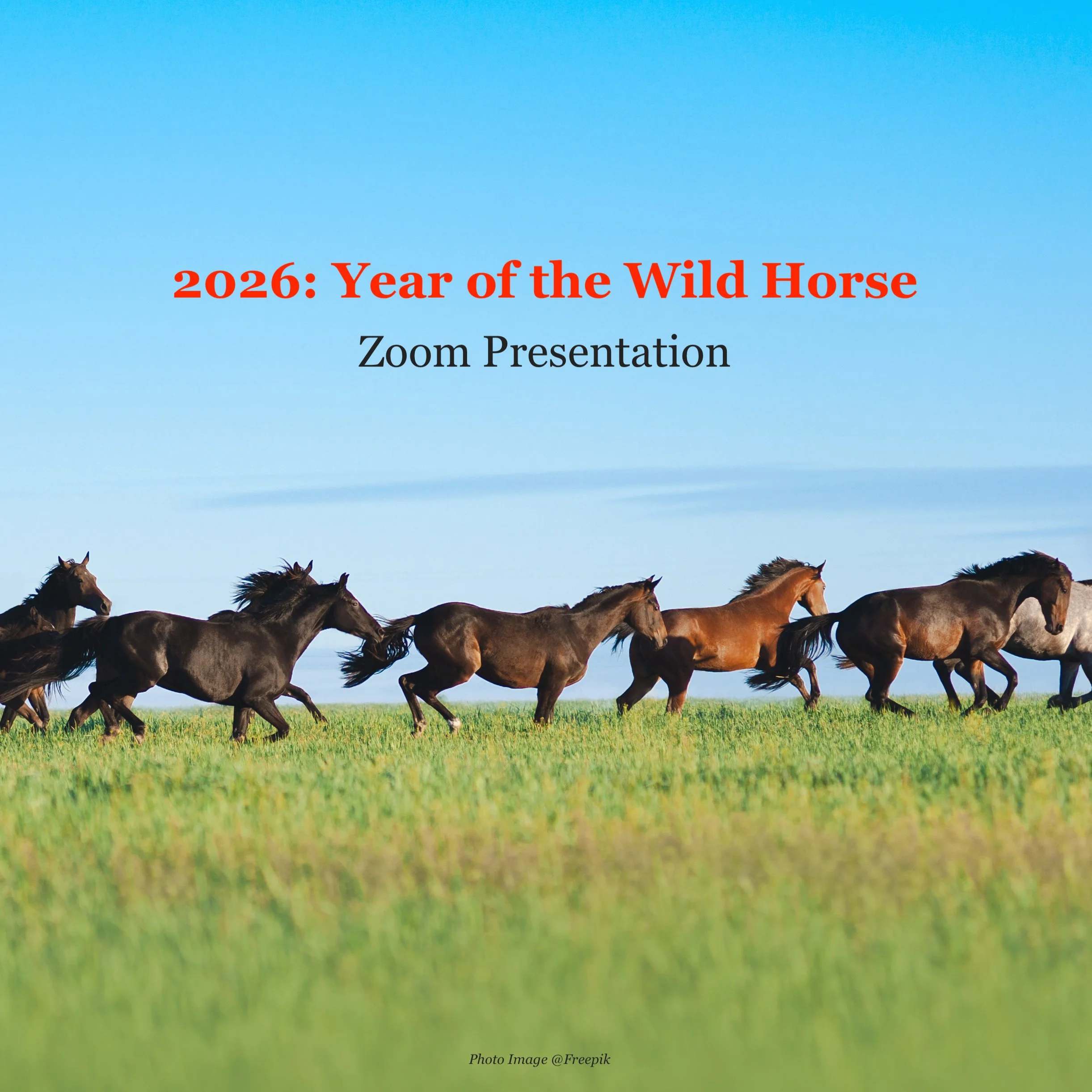 Online: Working with Wild Horse Wisdom to Support Your Year