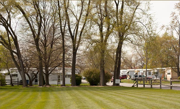 ColemanVillage6.png