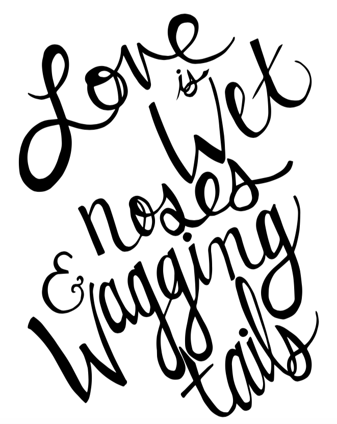 Screen Shot 2019-02-13 at 4.54.20 PM.png