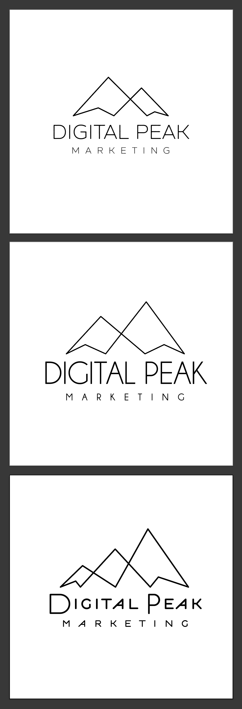 Digital Peak Marketing logo draft 10:30.png