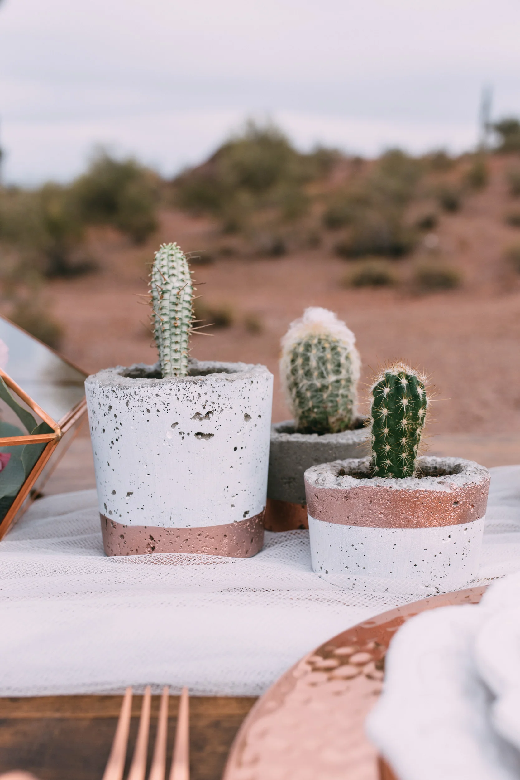 Copper and concrete potted cactus on table