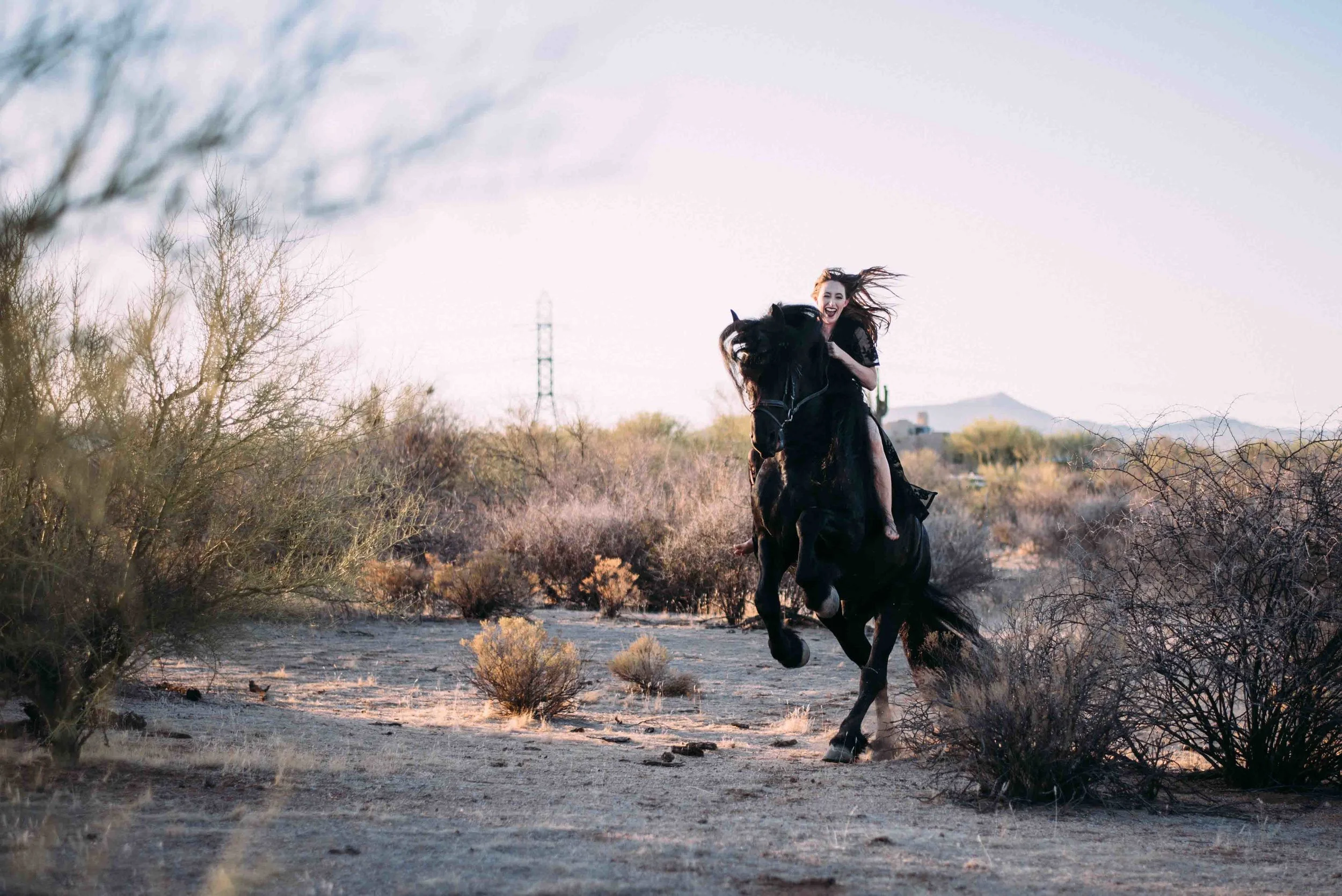 Arizona Portrait Equine_Alyssa Ryan Photography16.jpg