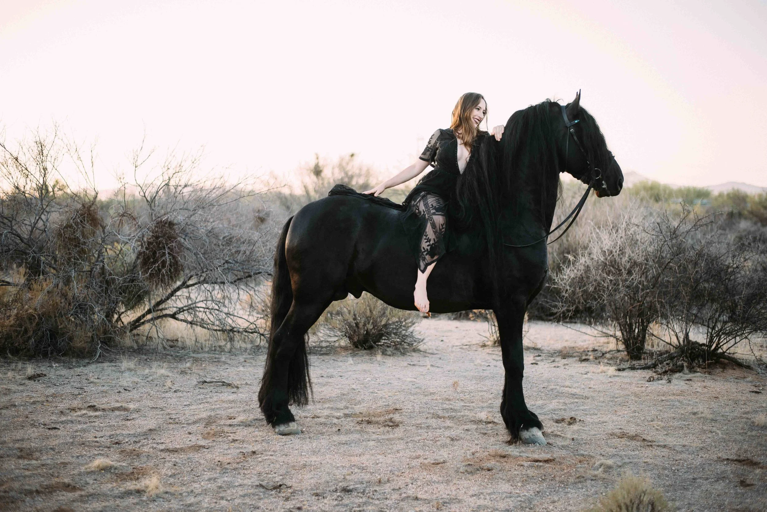 Arizona Portrait Equine_Alyssa Ryan Photography28.jpg