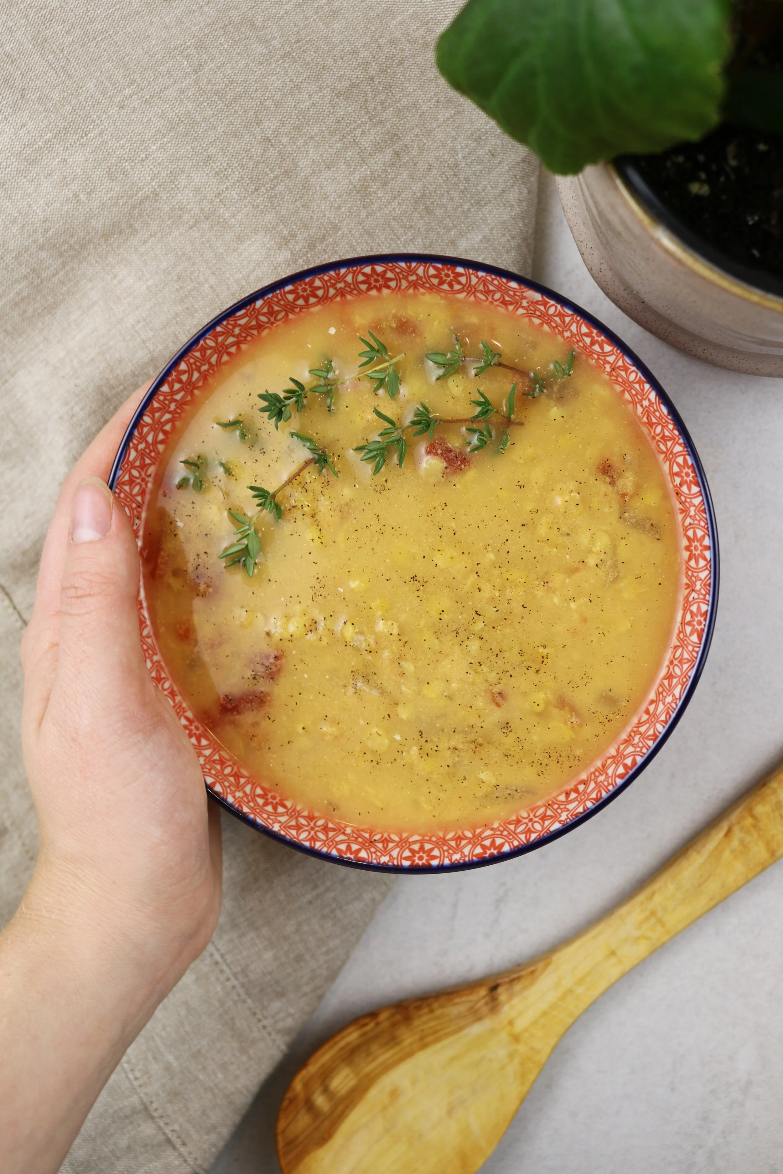 Lentil Soup — Your Weird Vegan Friend