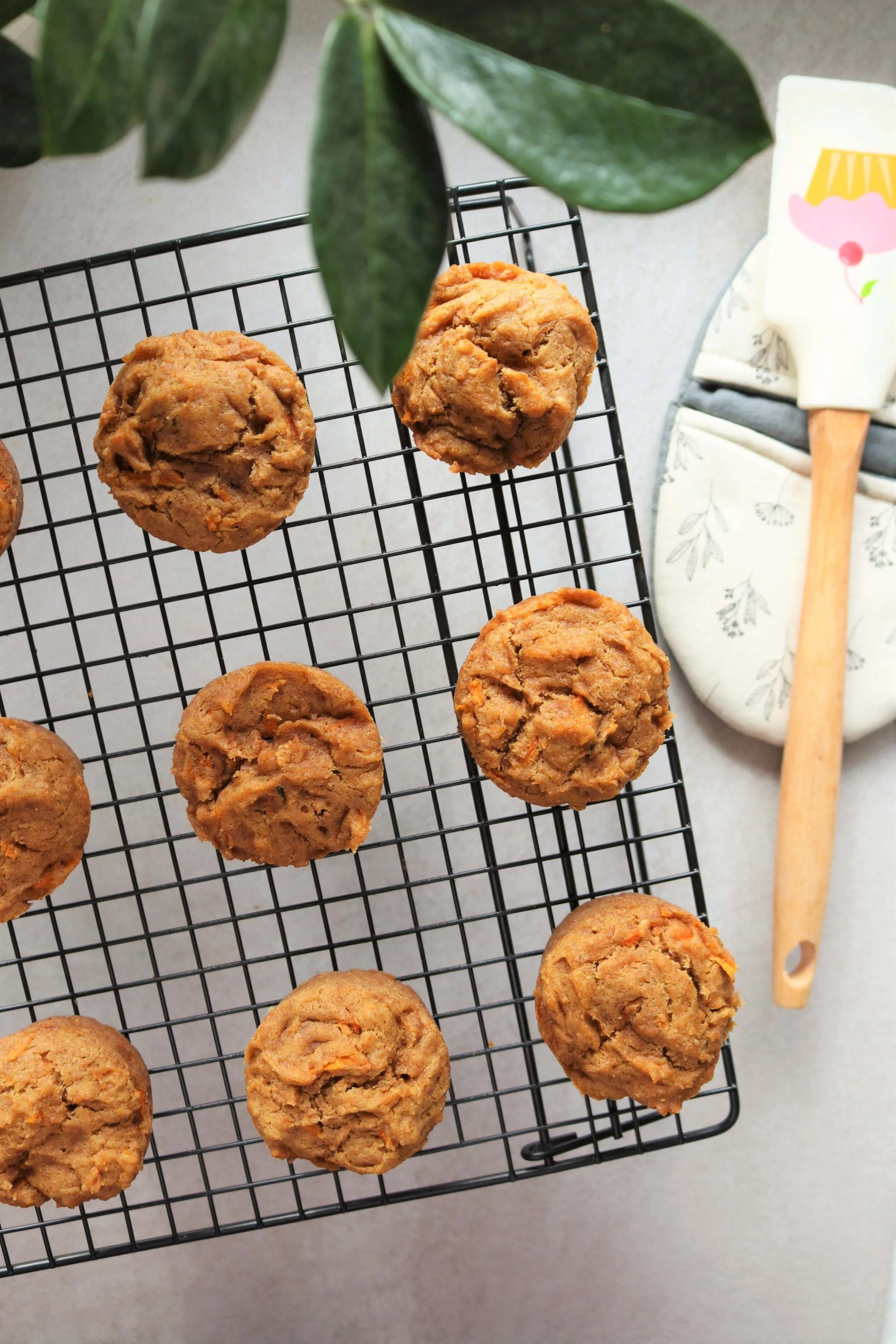 Carrot Pupcakes