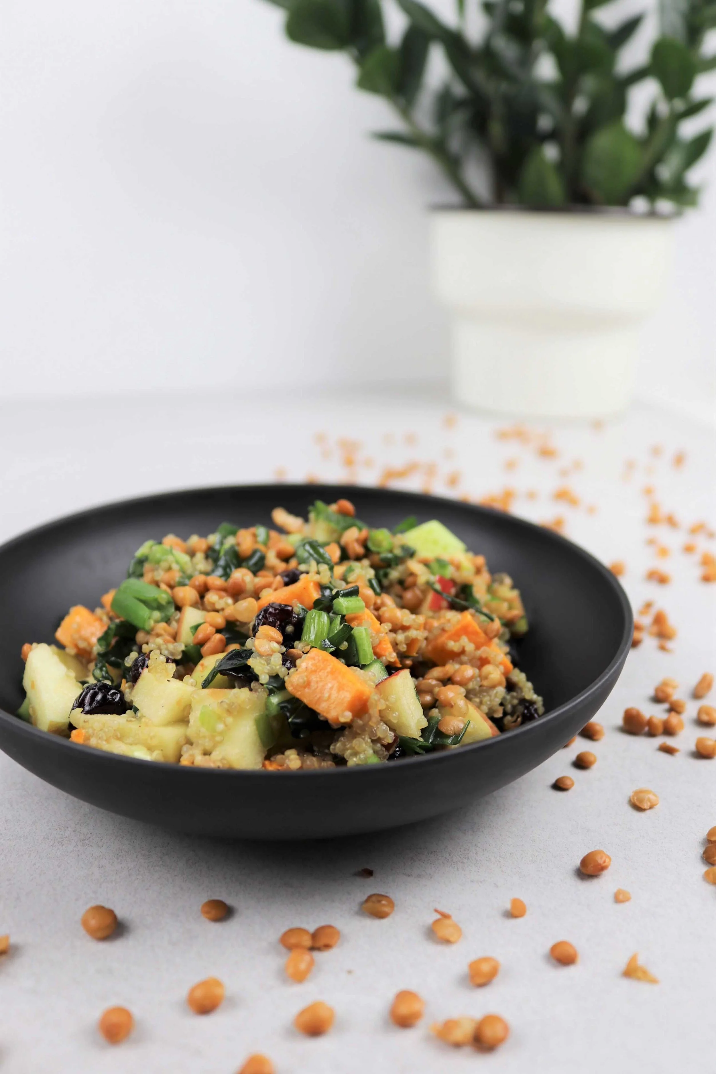 Lentil & Quinoa Salad — Your Weird Vegan Friend