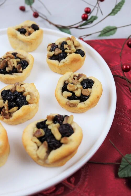 Cranberry Cheezy Bites
