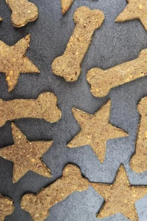 Homemade Dog Treats