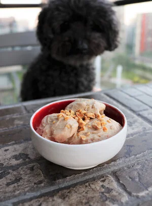 Nice Cream for Dogs