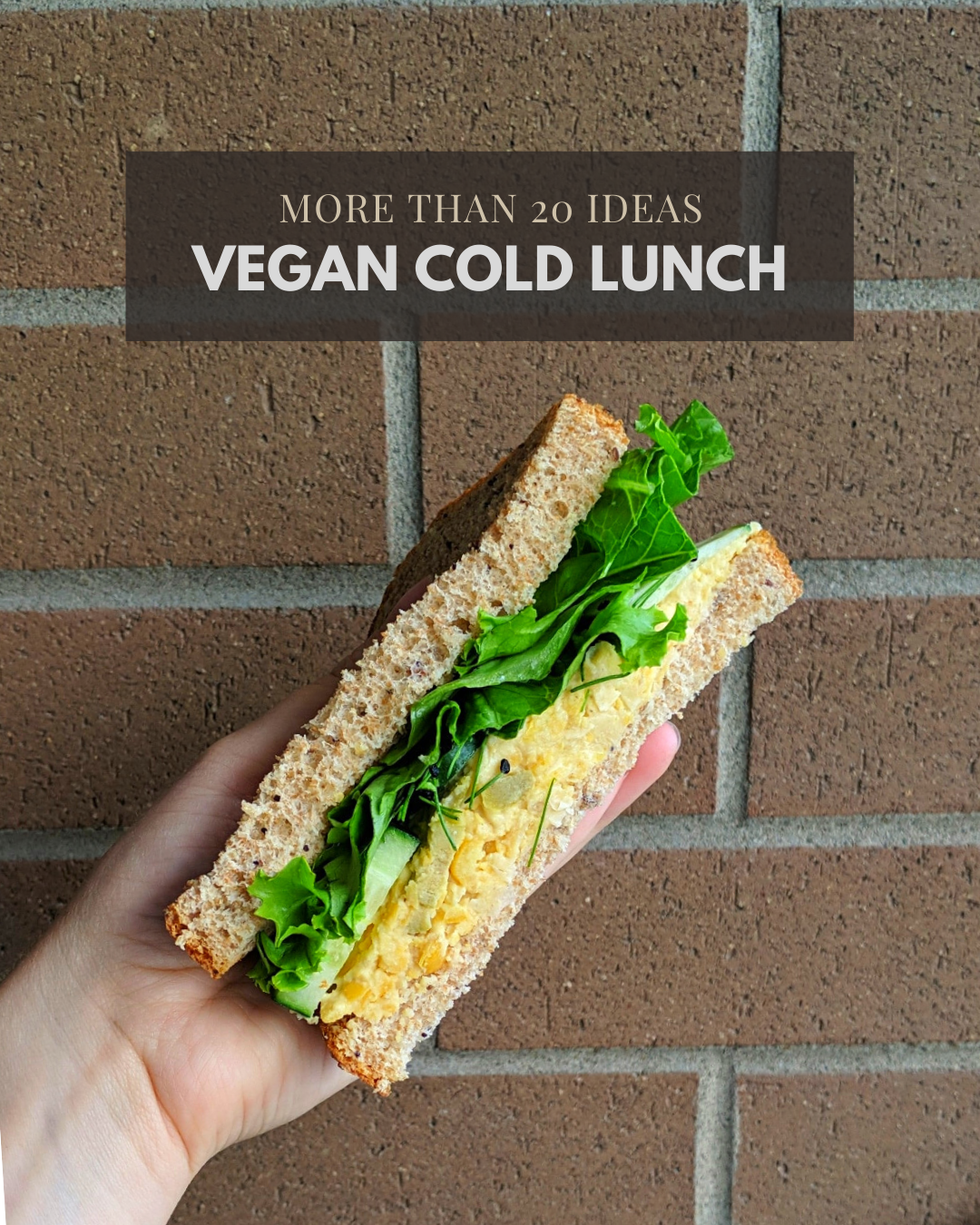 More than 20 cold lunch ideas