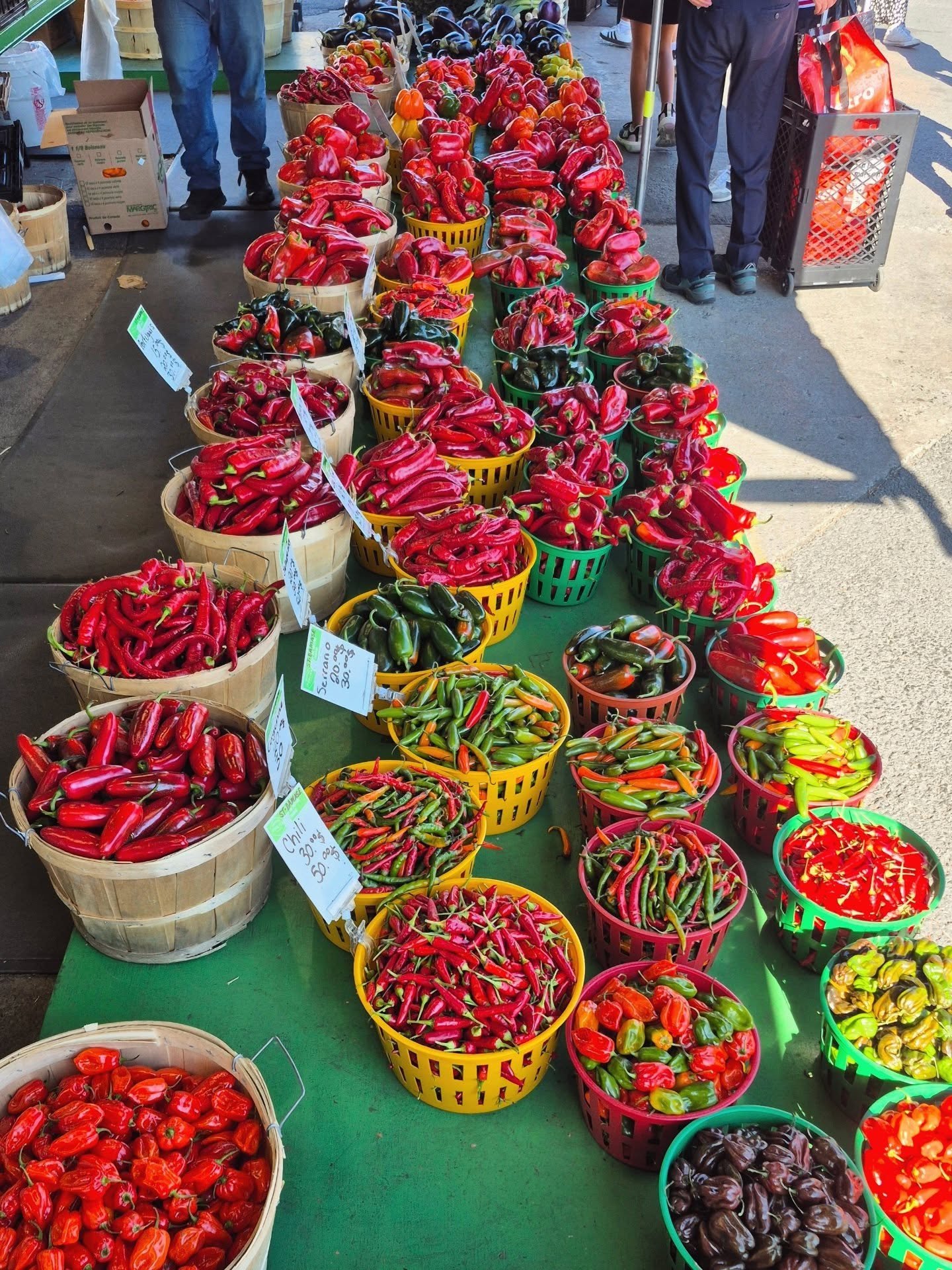 Food lately 🍂

- mijot&eacute; d'haricots blancs &amp; orzo du nouveau livre de @patateetcornichon (un d&eacute;lice !)
- tartine aux pleurotes
- nouilles sauce aux arachides one pot
- mijot&eacute; d'haricots blancs (un autre !)
- nouilles cari coc
