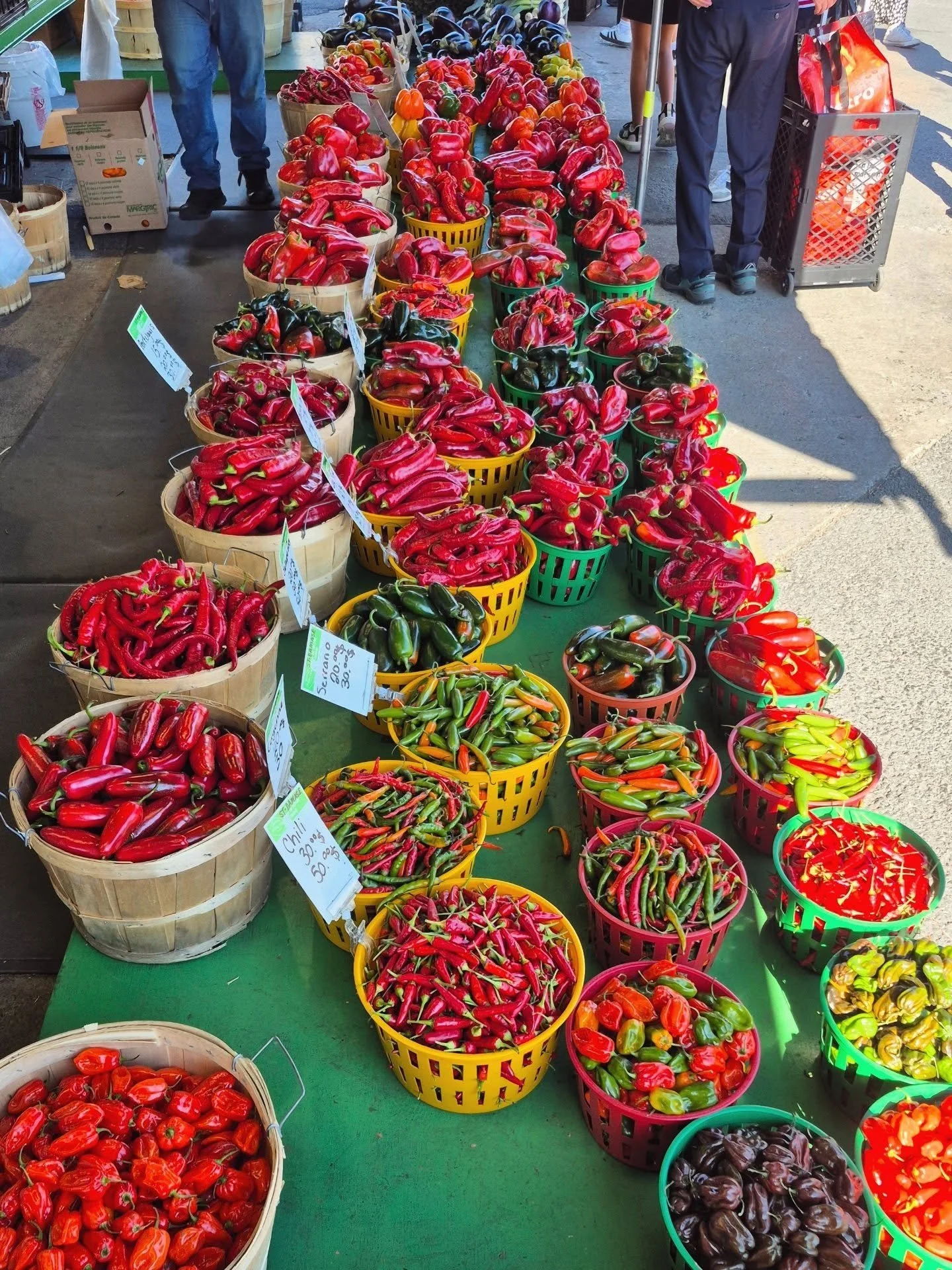 Food lately 🍂

- mijot&eacute; d'haricots blancs &amp; orzo du nouveau livre de @patateetcornichon (un d&eacute;lice !)
- tartine aux pleurotes
- nouilles sauce aux arachides one pot
- mijot&eacute; d'haricots blancs (un autre !)
- nouilles cari coc