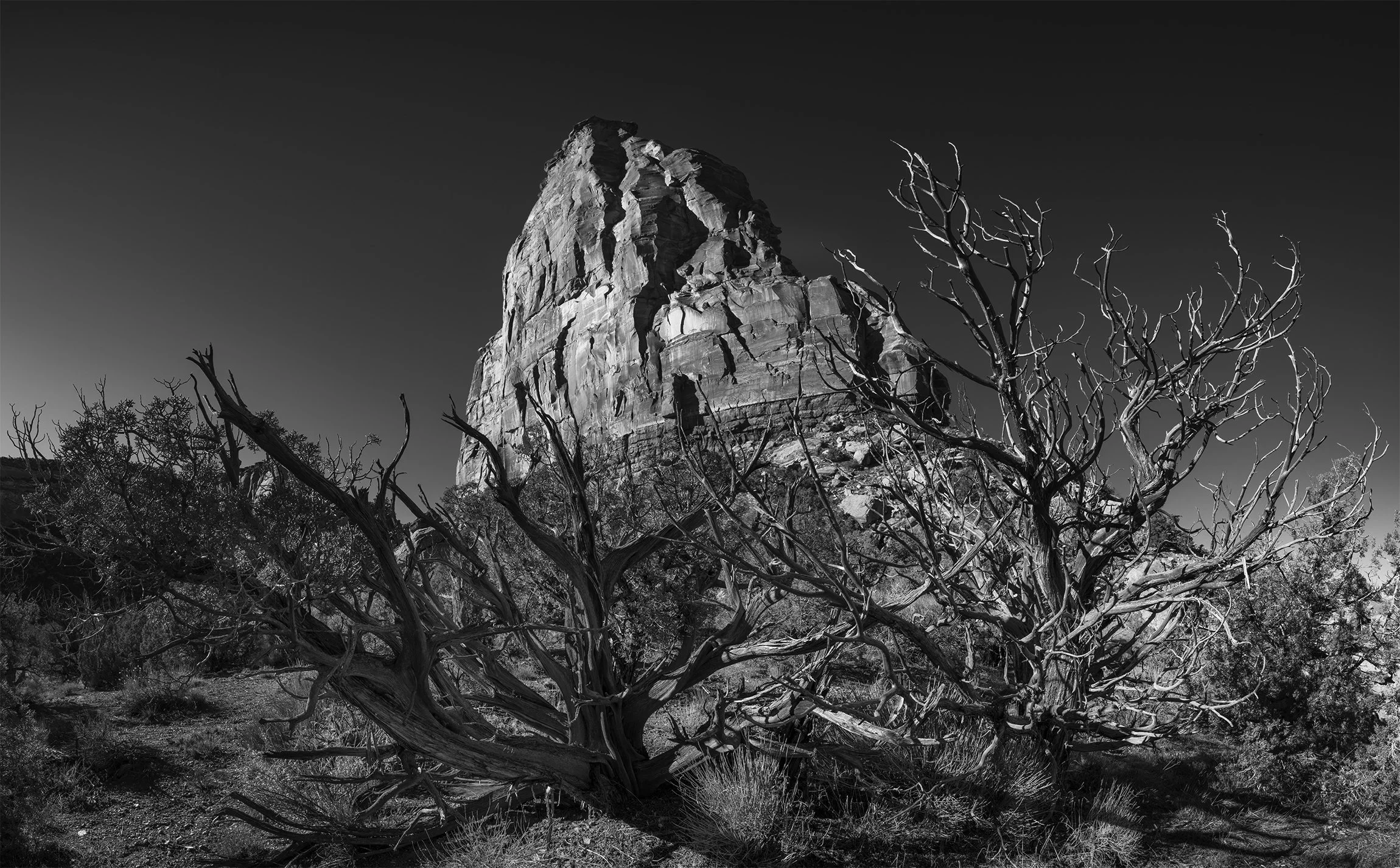 Independence-Mon copy.jpg