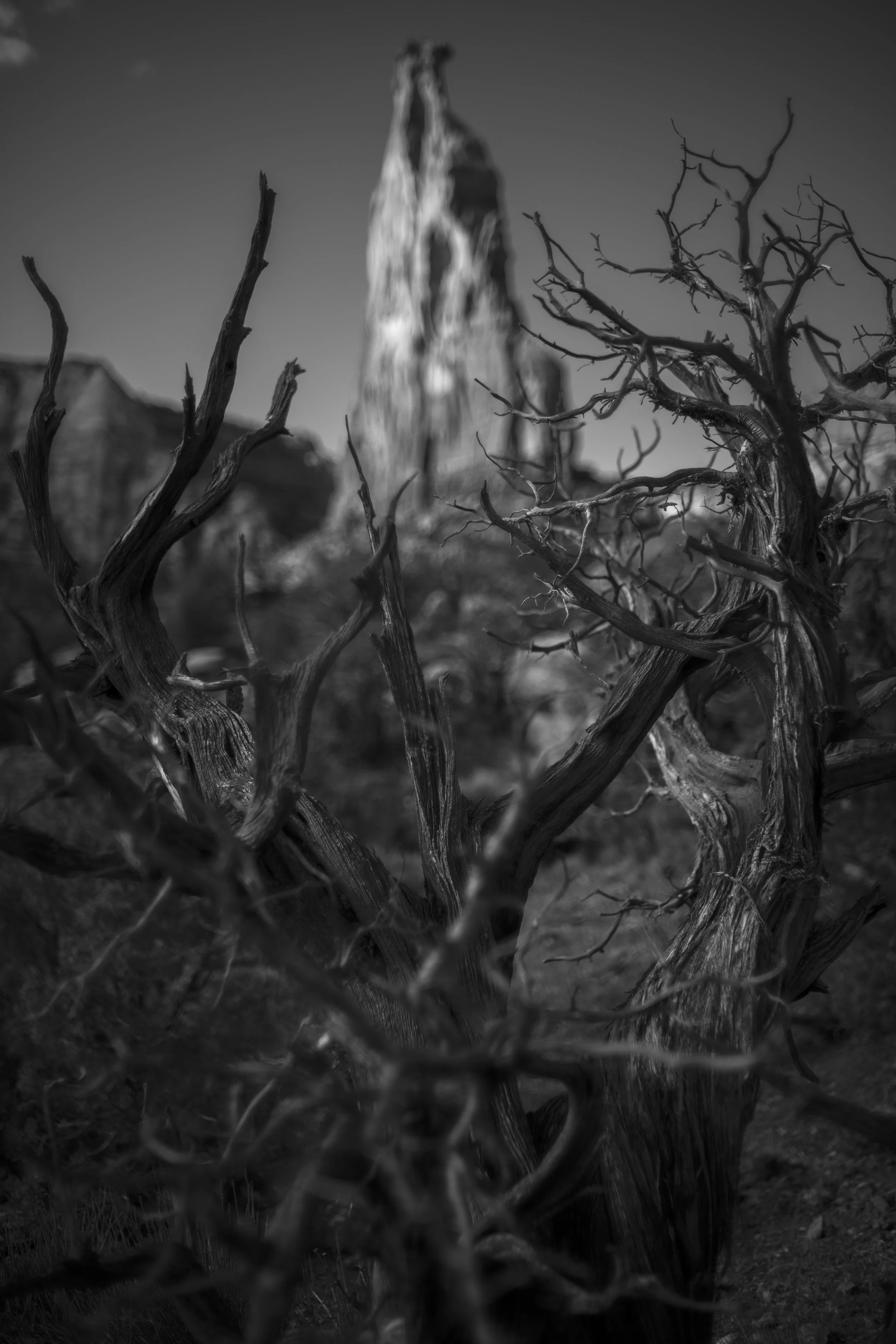 Colorado National Monument
