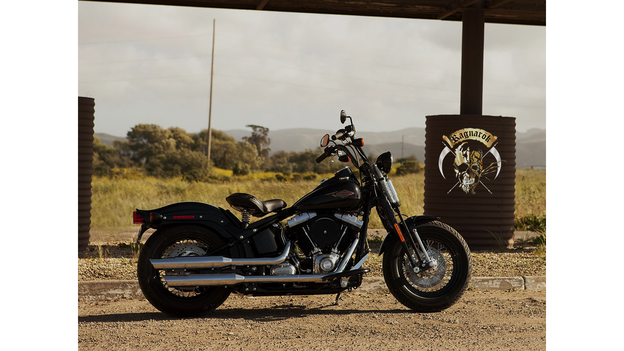 Softail Crossbones.png