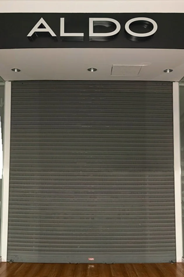 MicroP1.jpg