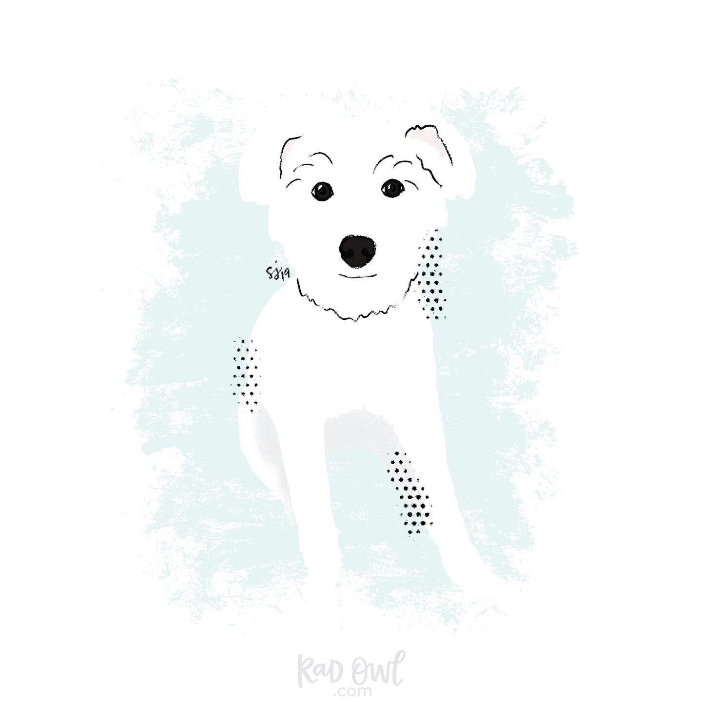 This is Dewey. I drew him. Want a custom portrait of your dog (okay, any pet. I&rsquo;d draw a cat or an iguana, too). Want that hand drawn portrait on a t-shirt? Get in touch. I love drawing (and wearing drawings of) doggies! Woof!
+
Image descripti